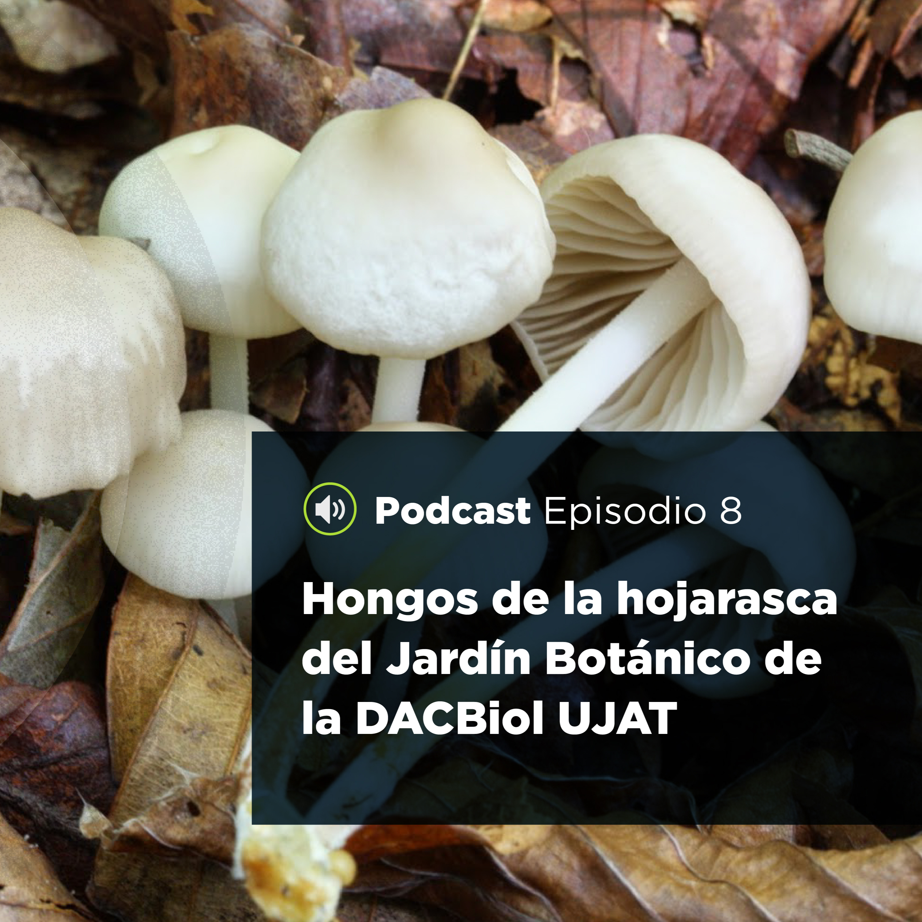 UJATConCiencia