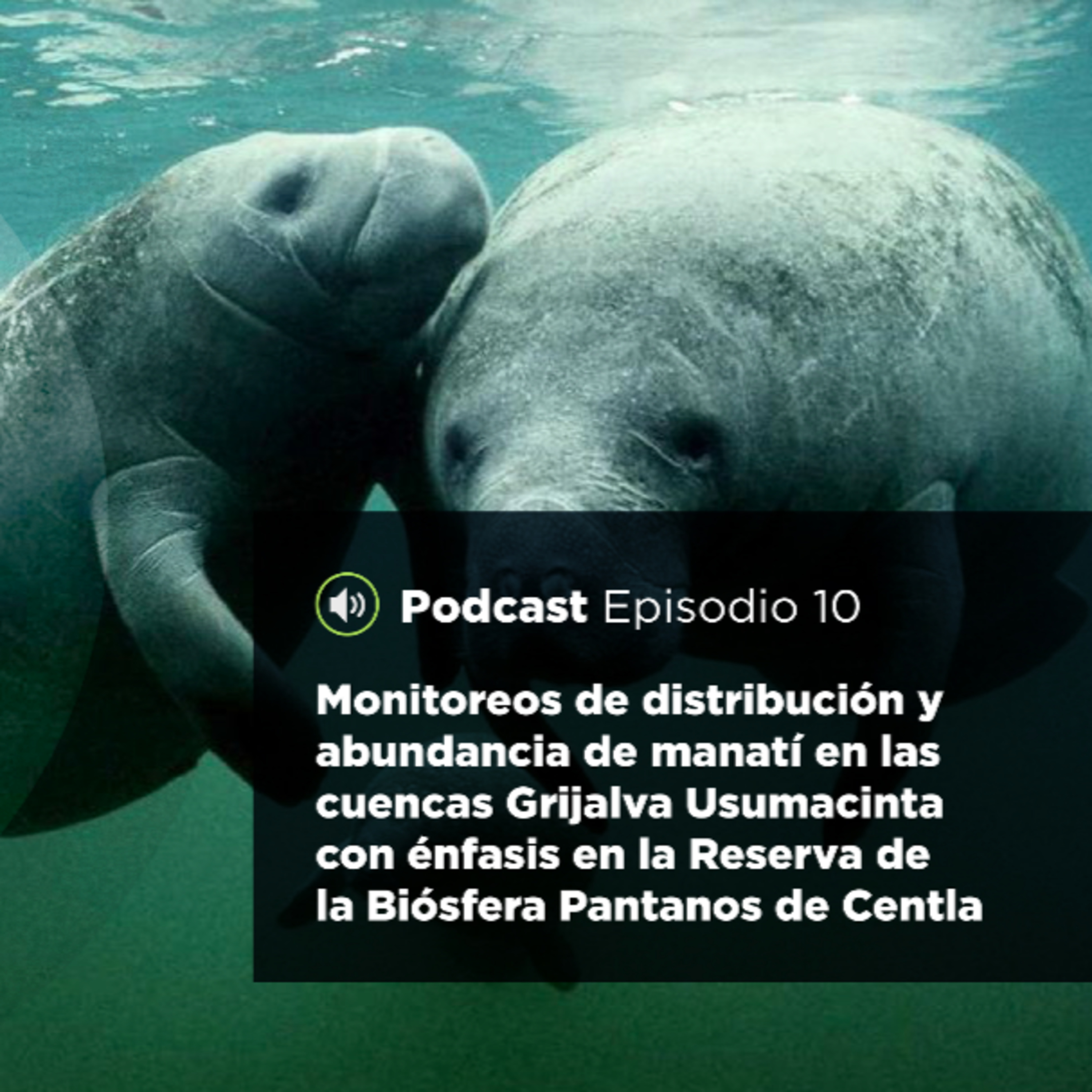 UJATConCiencia