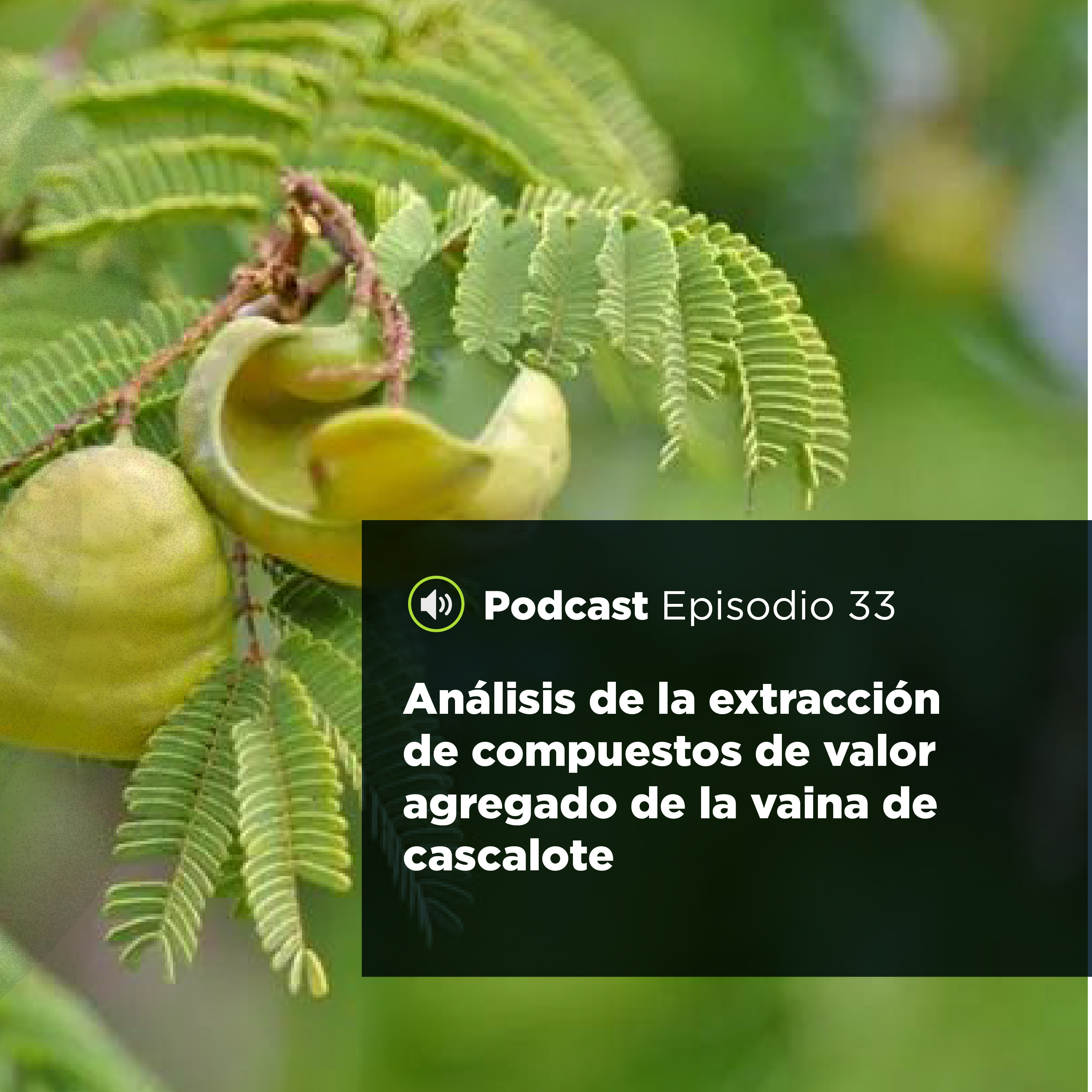 UJATConCiencia