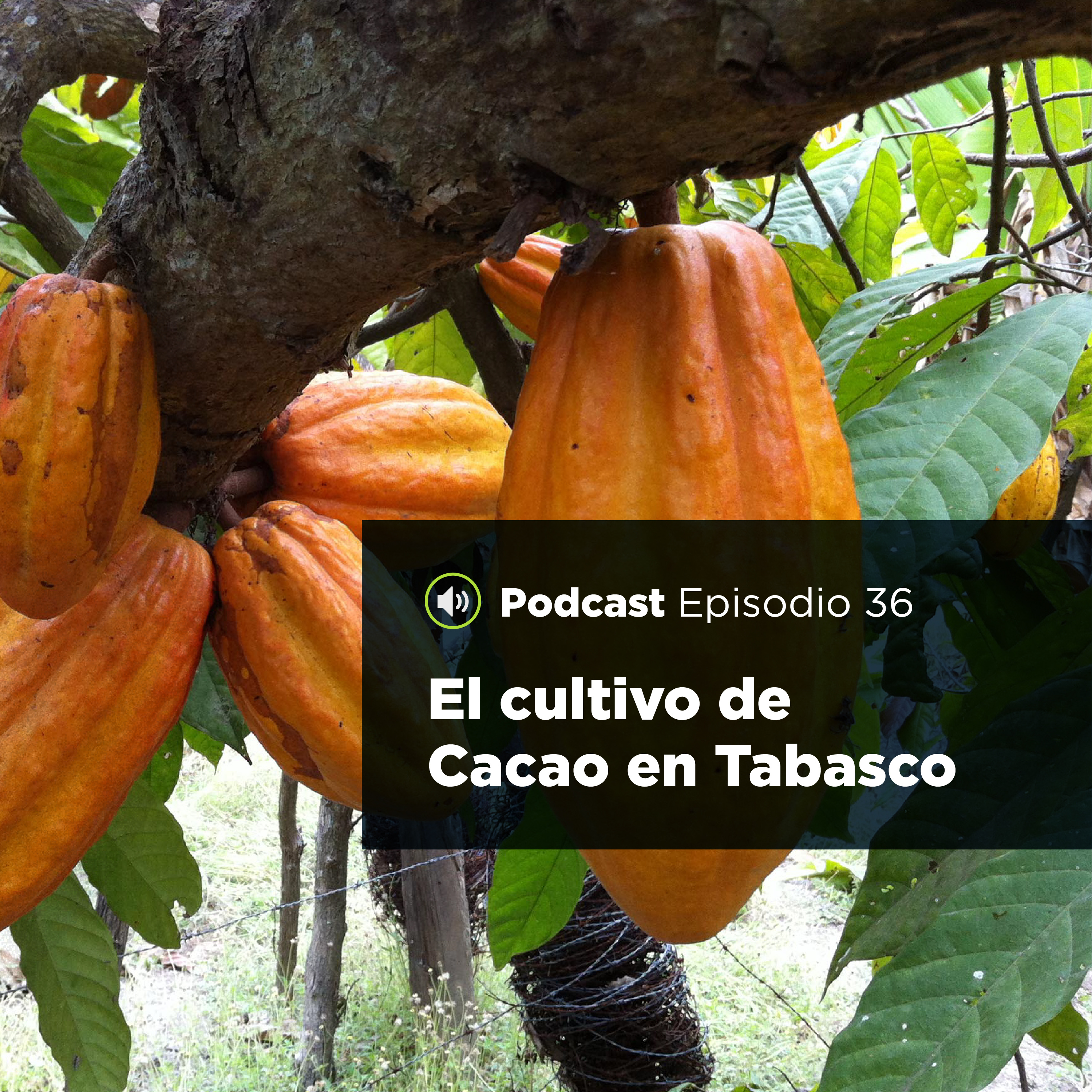UJATConCiencia