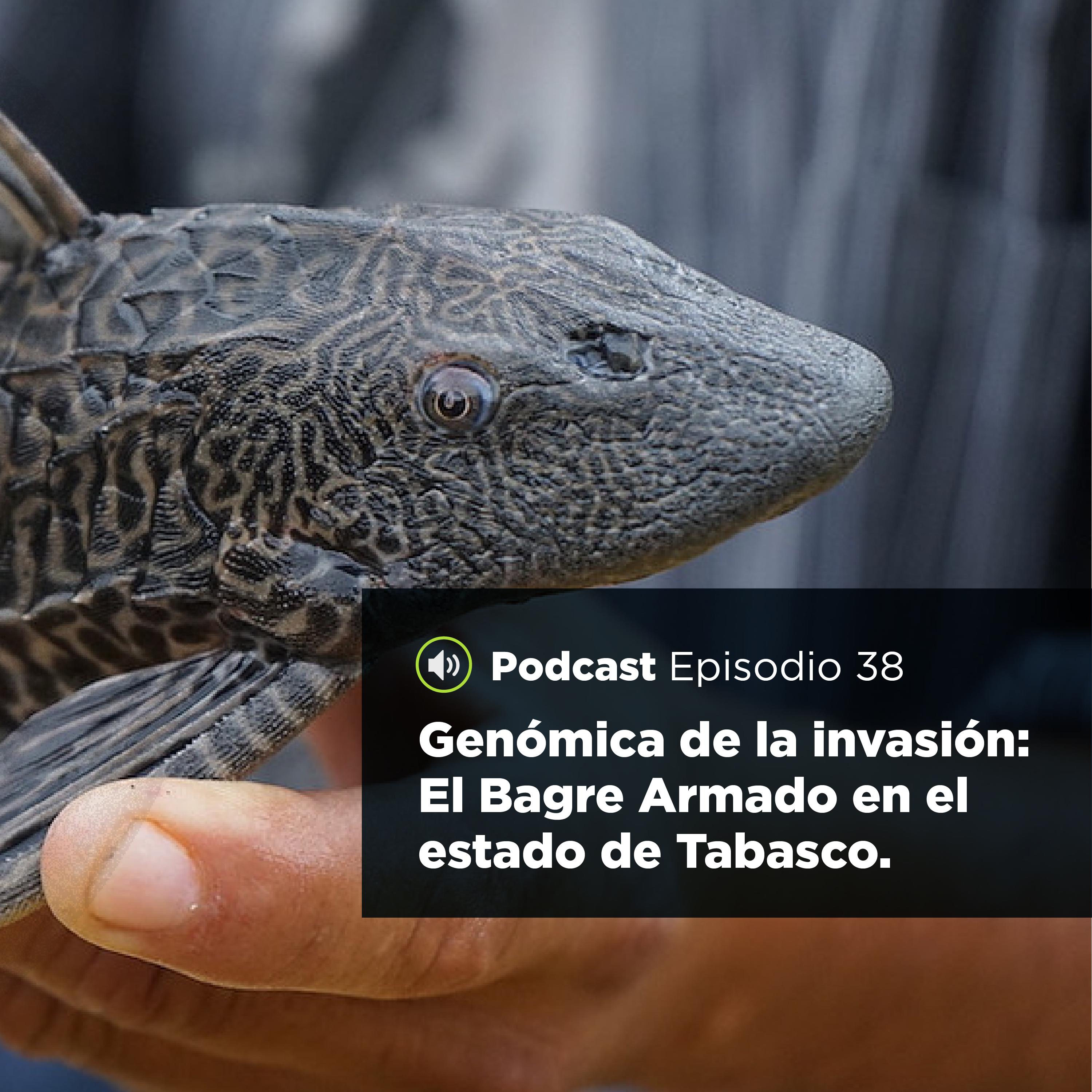 UJATConCiencia