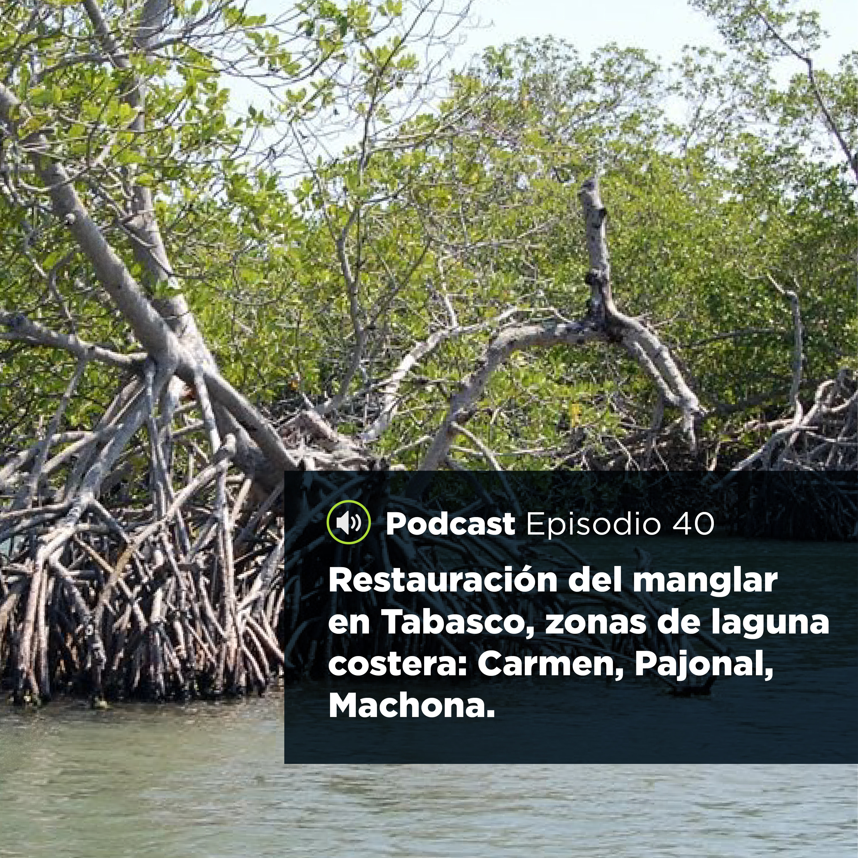 UJATConCiencia