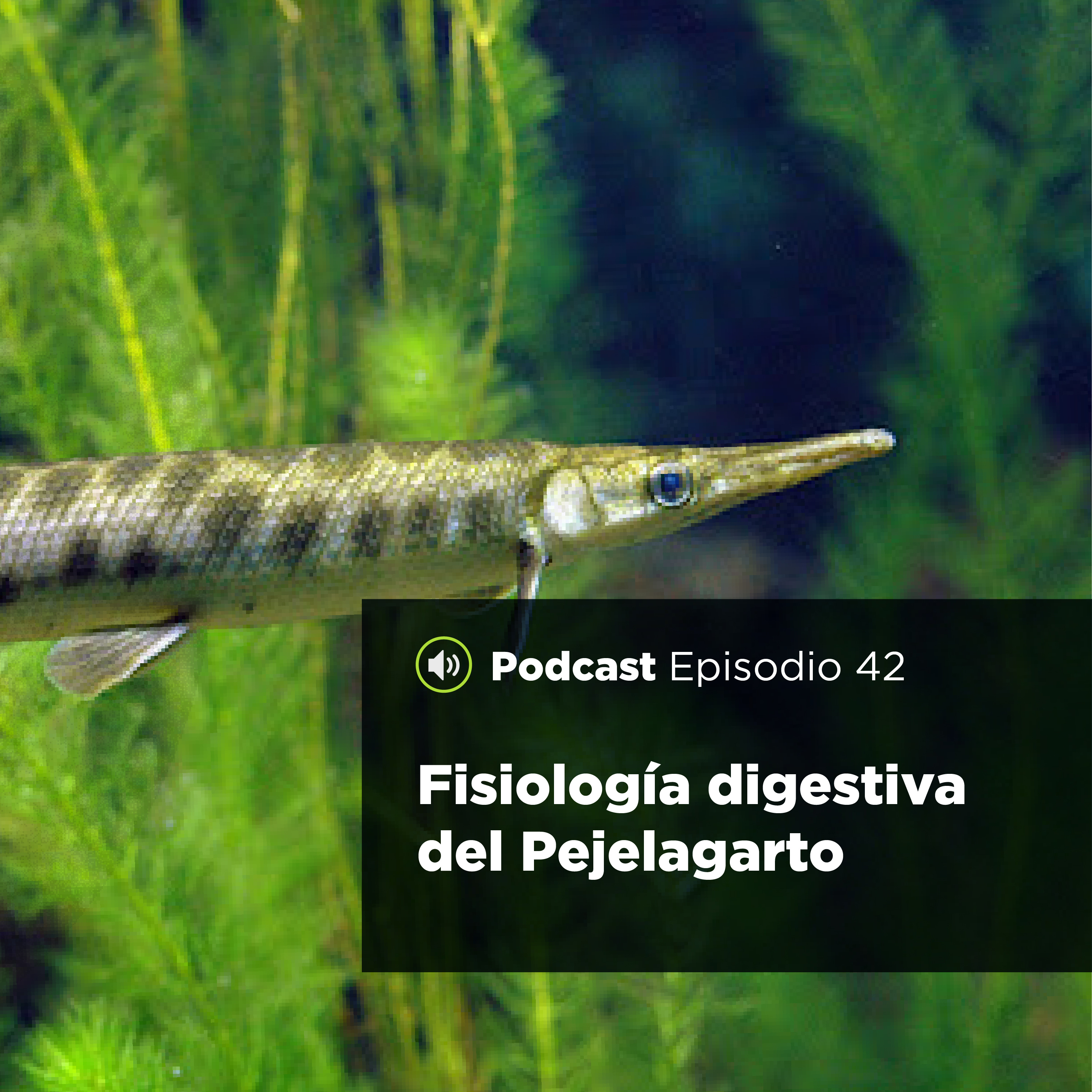UJATConCiencia