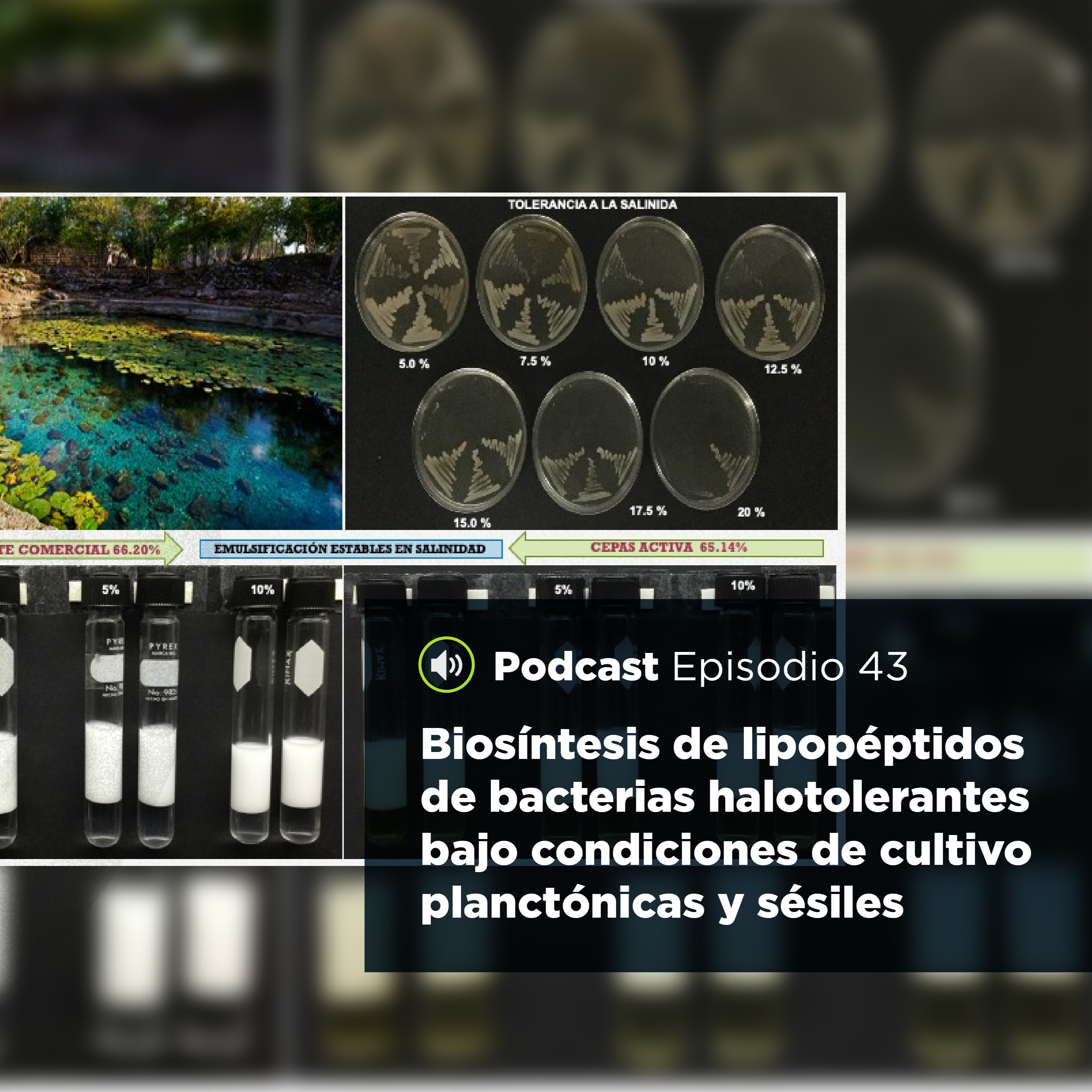 UJATConCiencia