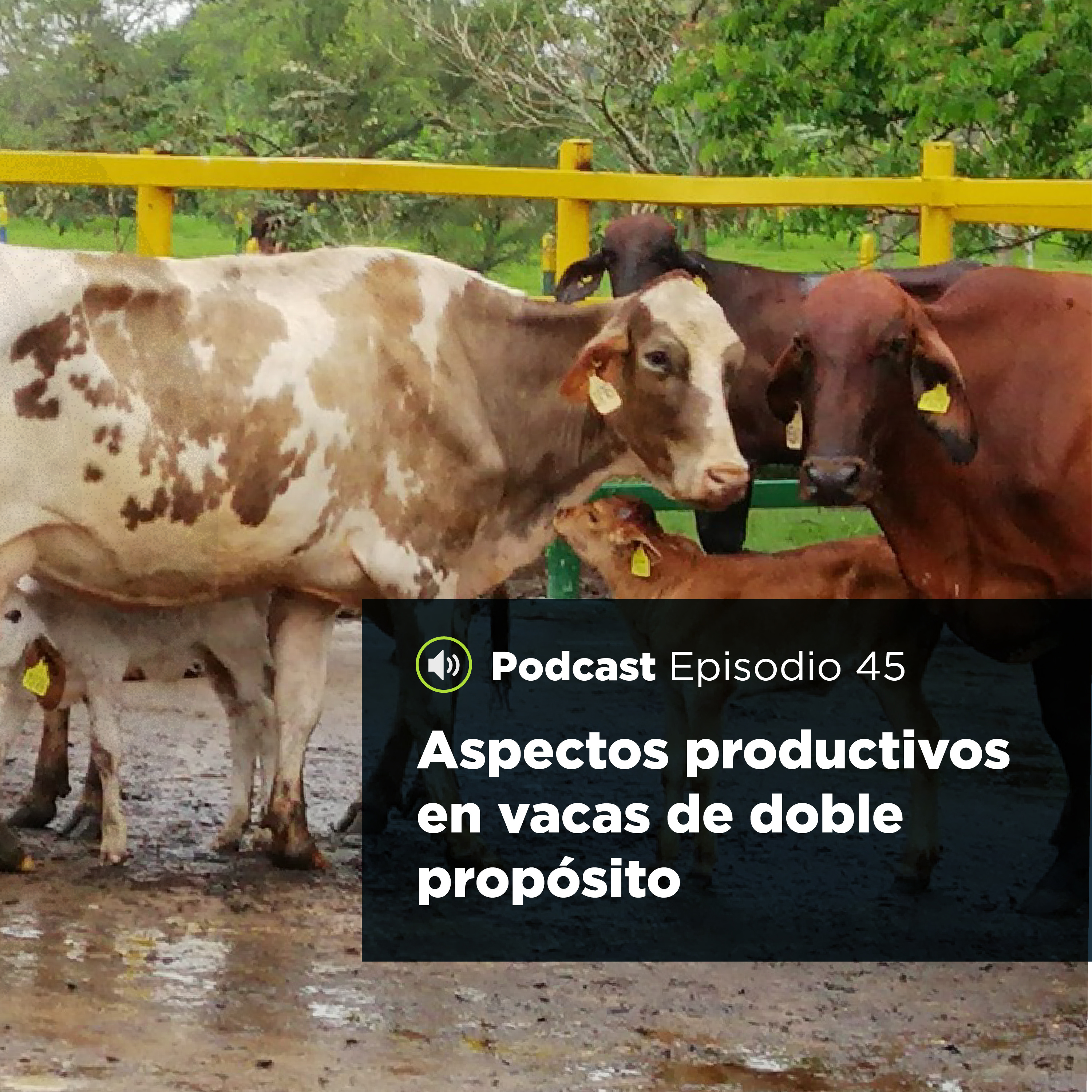 UJATConCiencia
