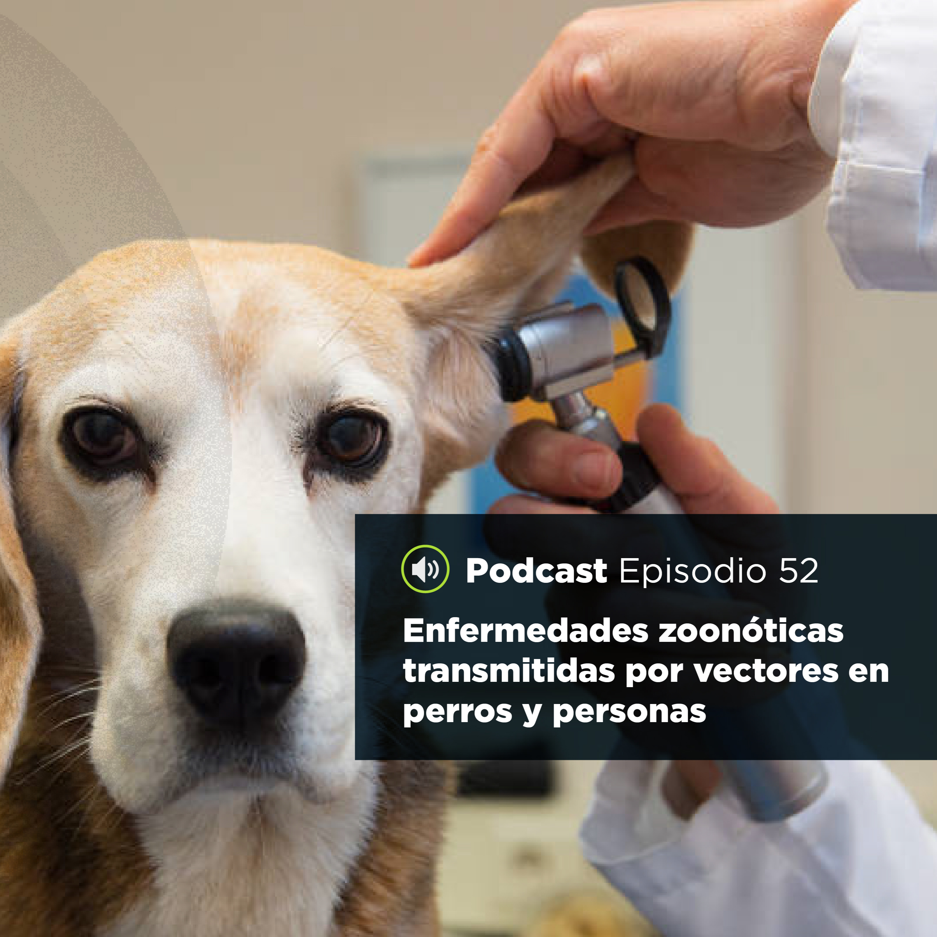 UJATConCiencia
