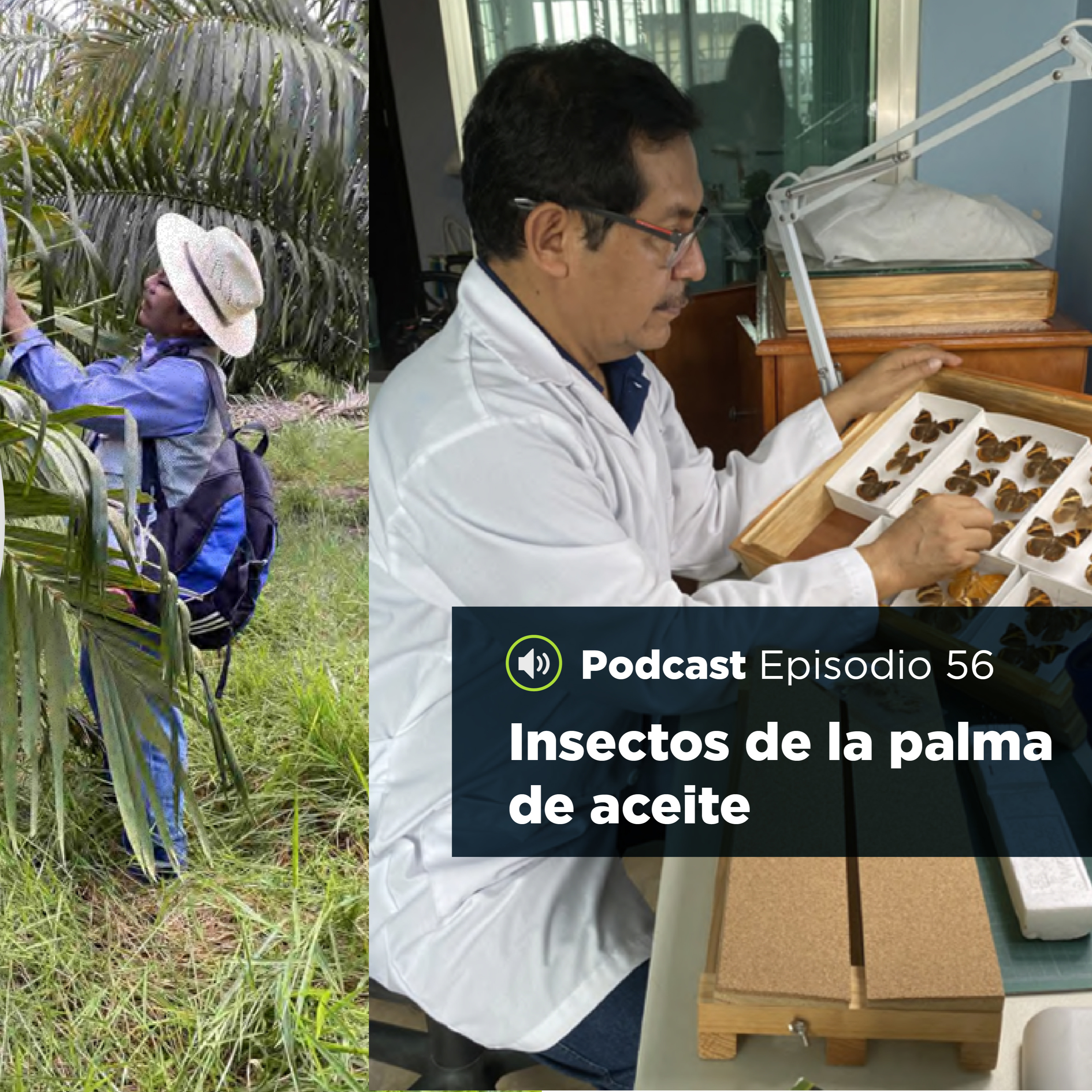 UJATConCiencia