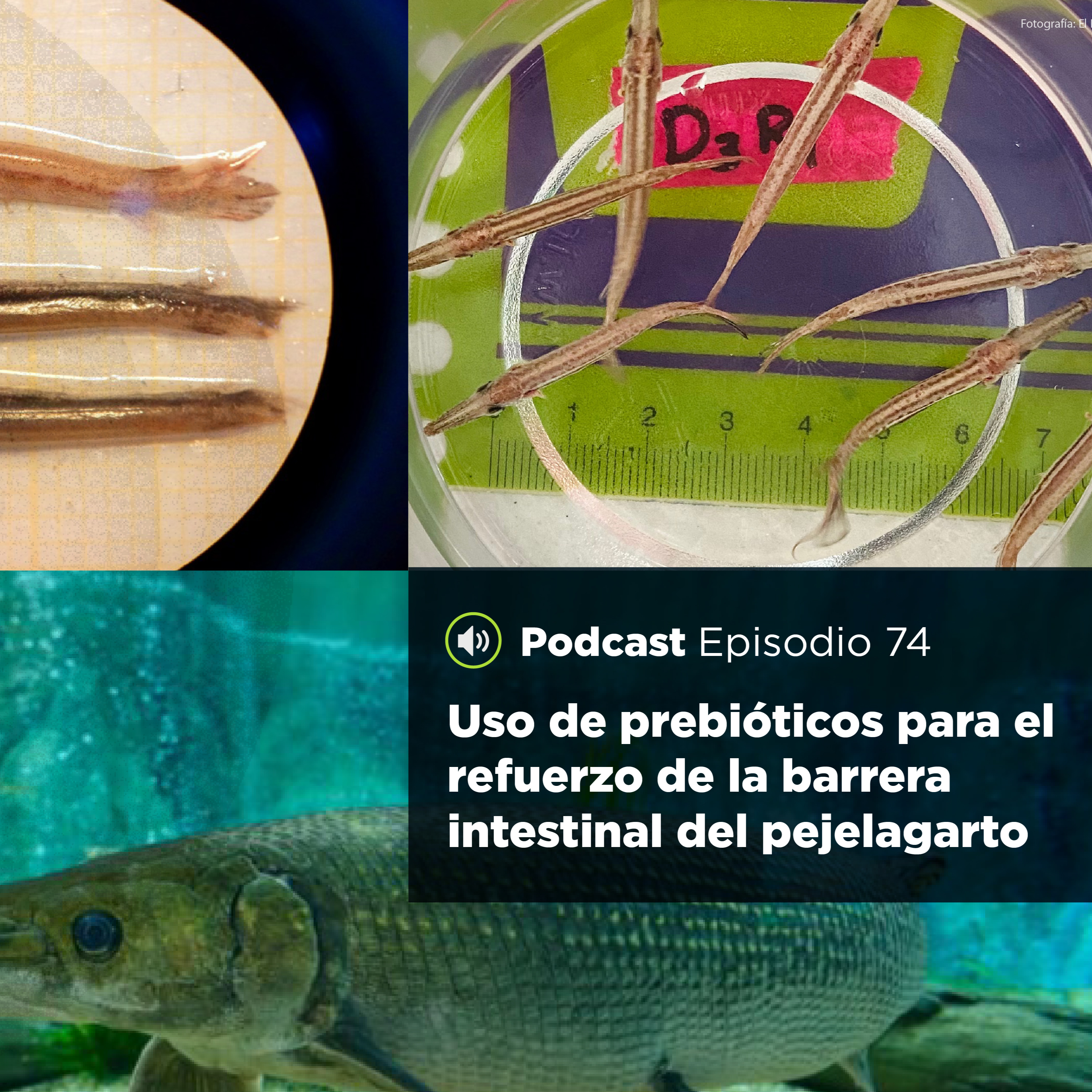 UJATConCiencia