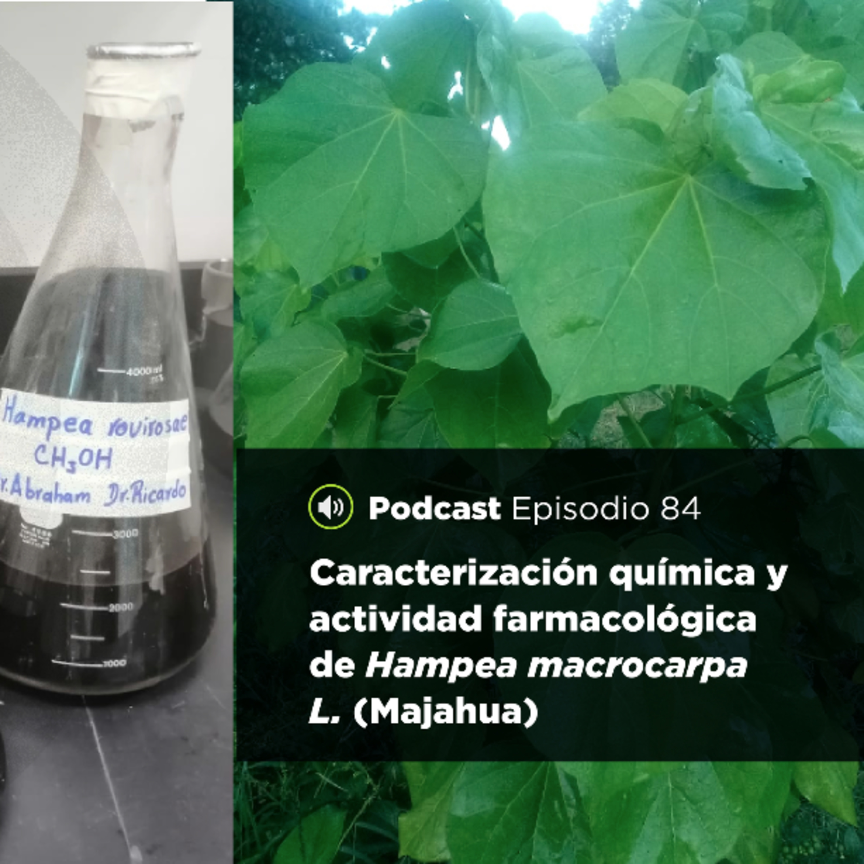 UJATConCiencia