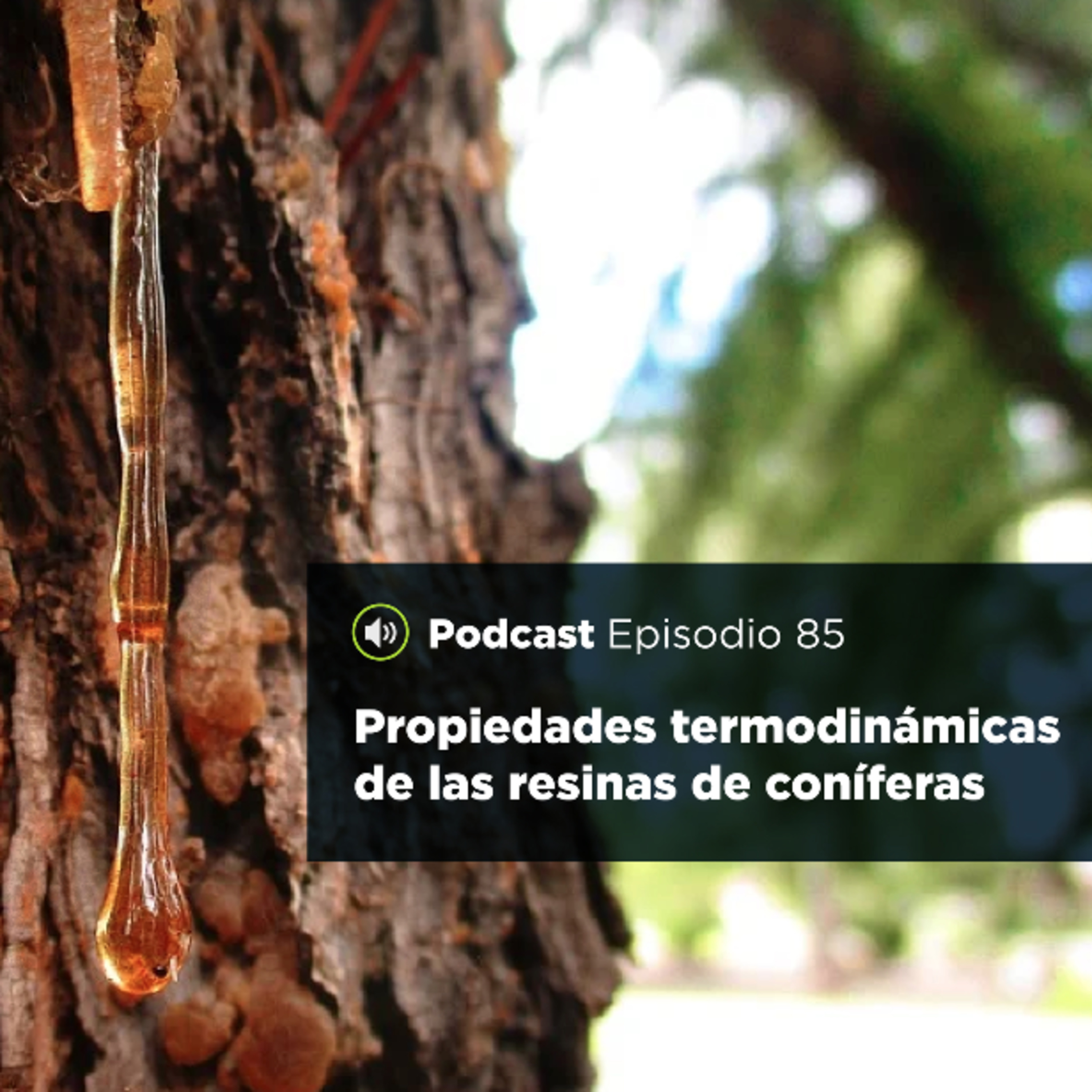 UJATConCiencia