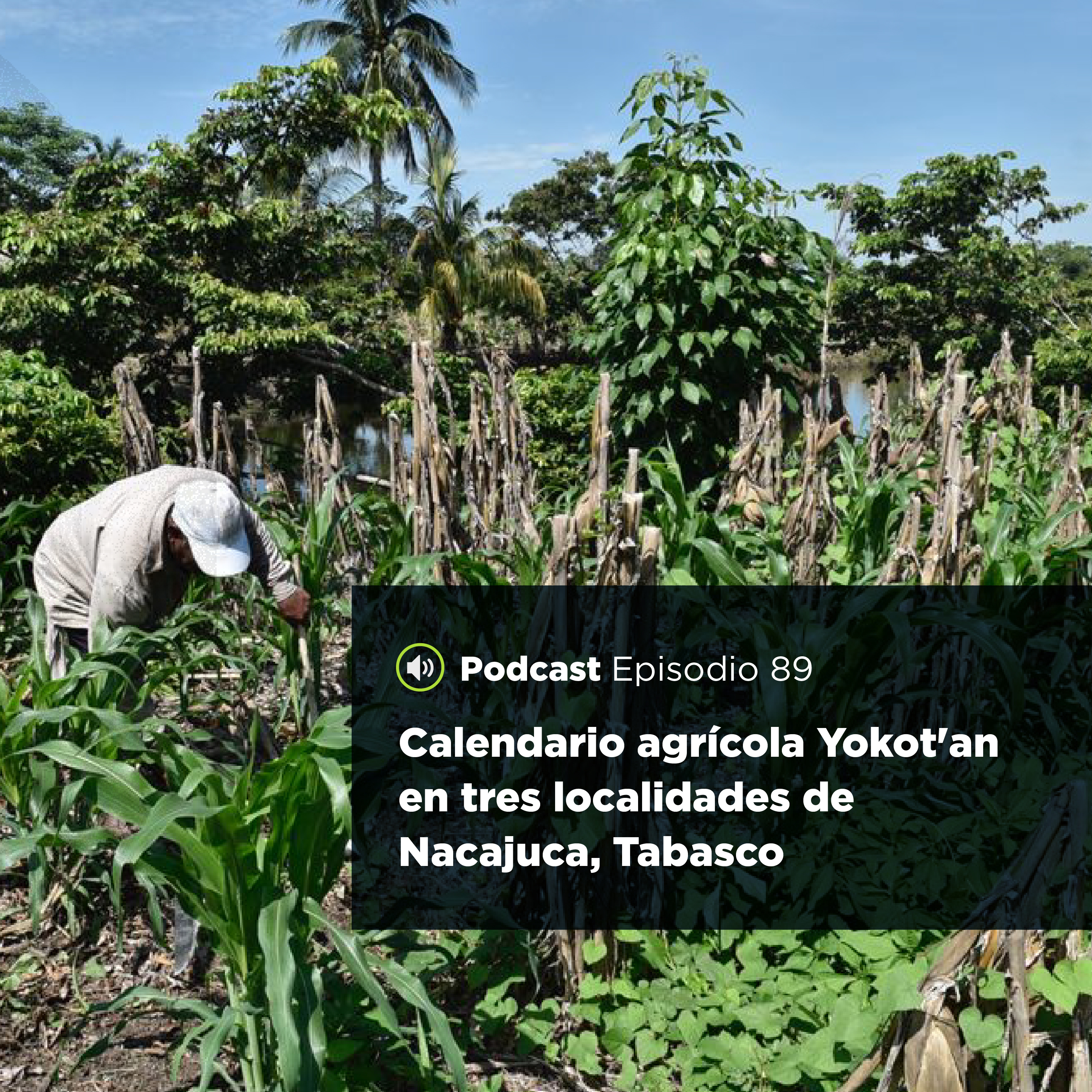 UJATConCiencia
