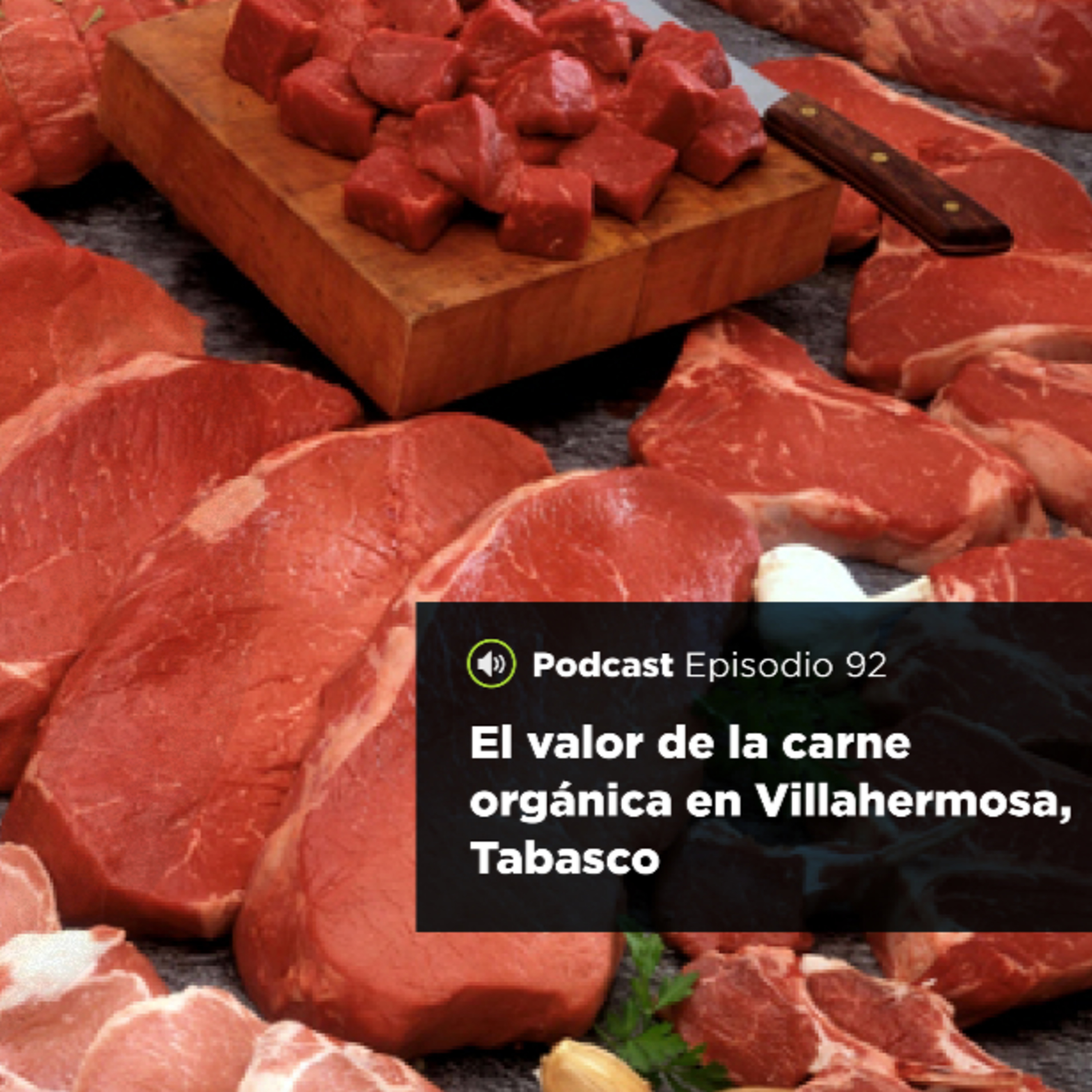 Portada de Autores UJAT