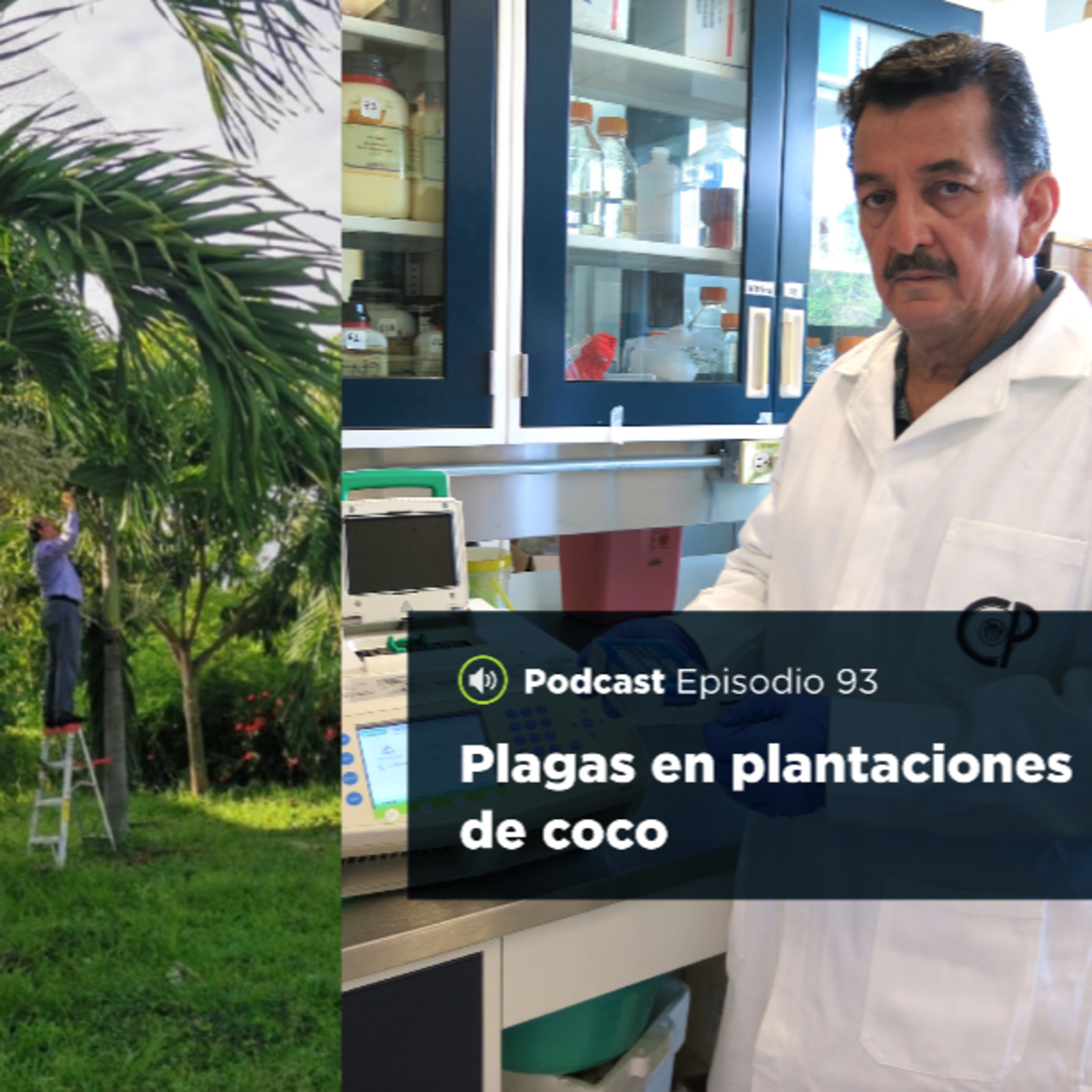 UJATConCiencia