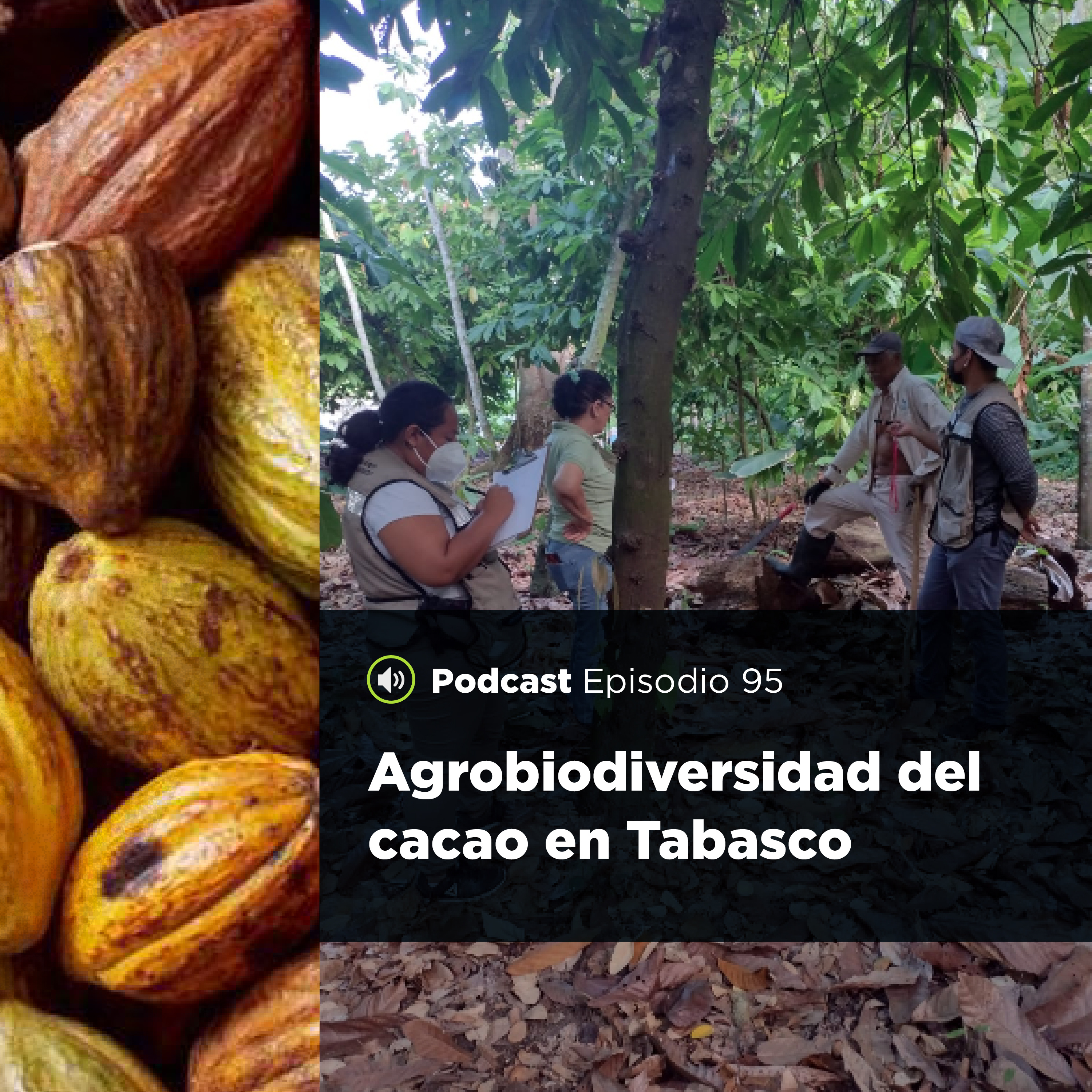 UJATConCiencia