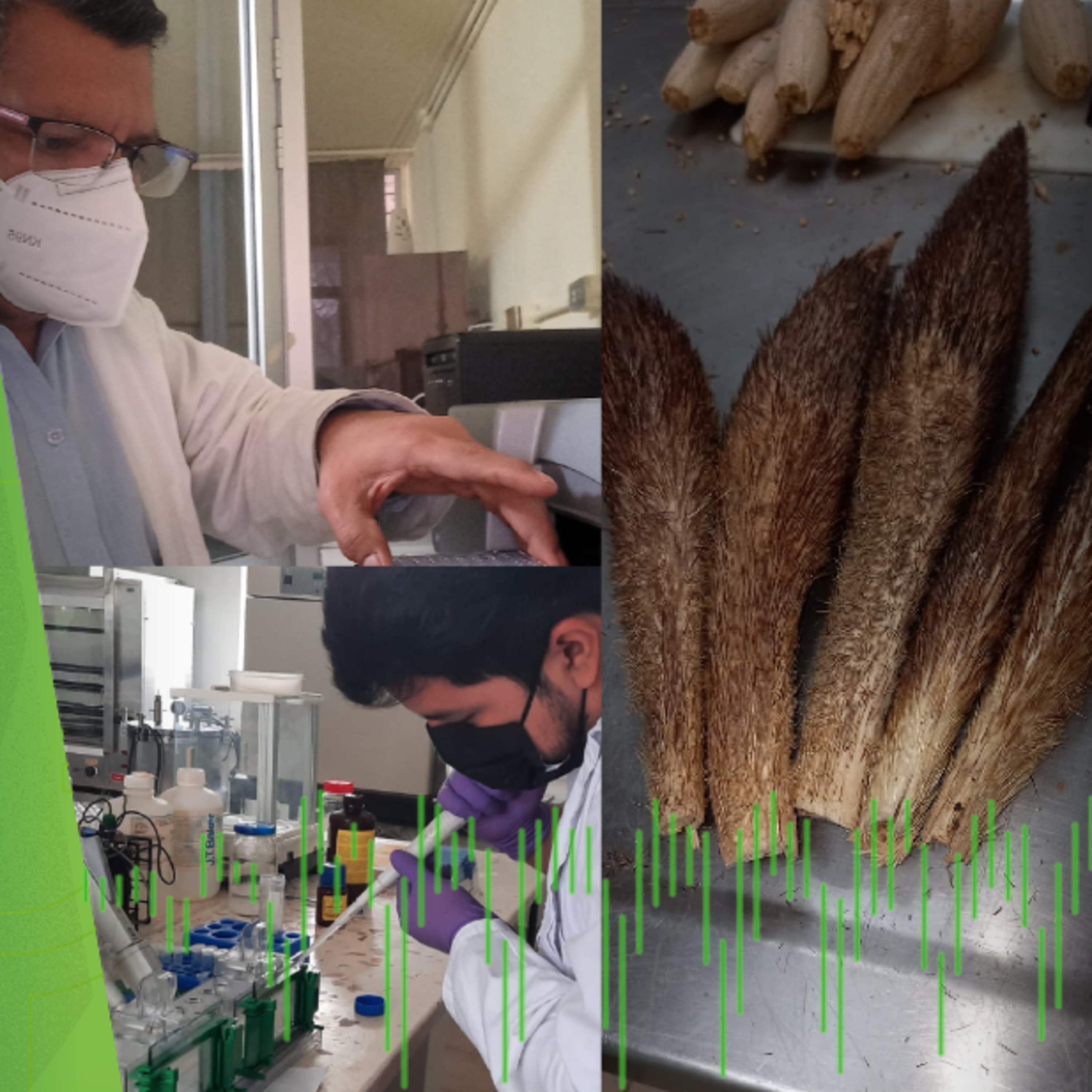 UJATConCiencia