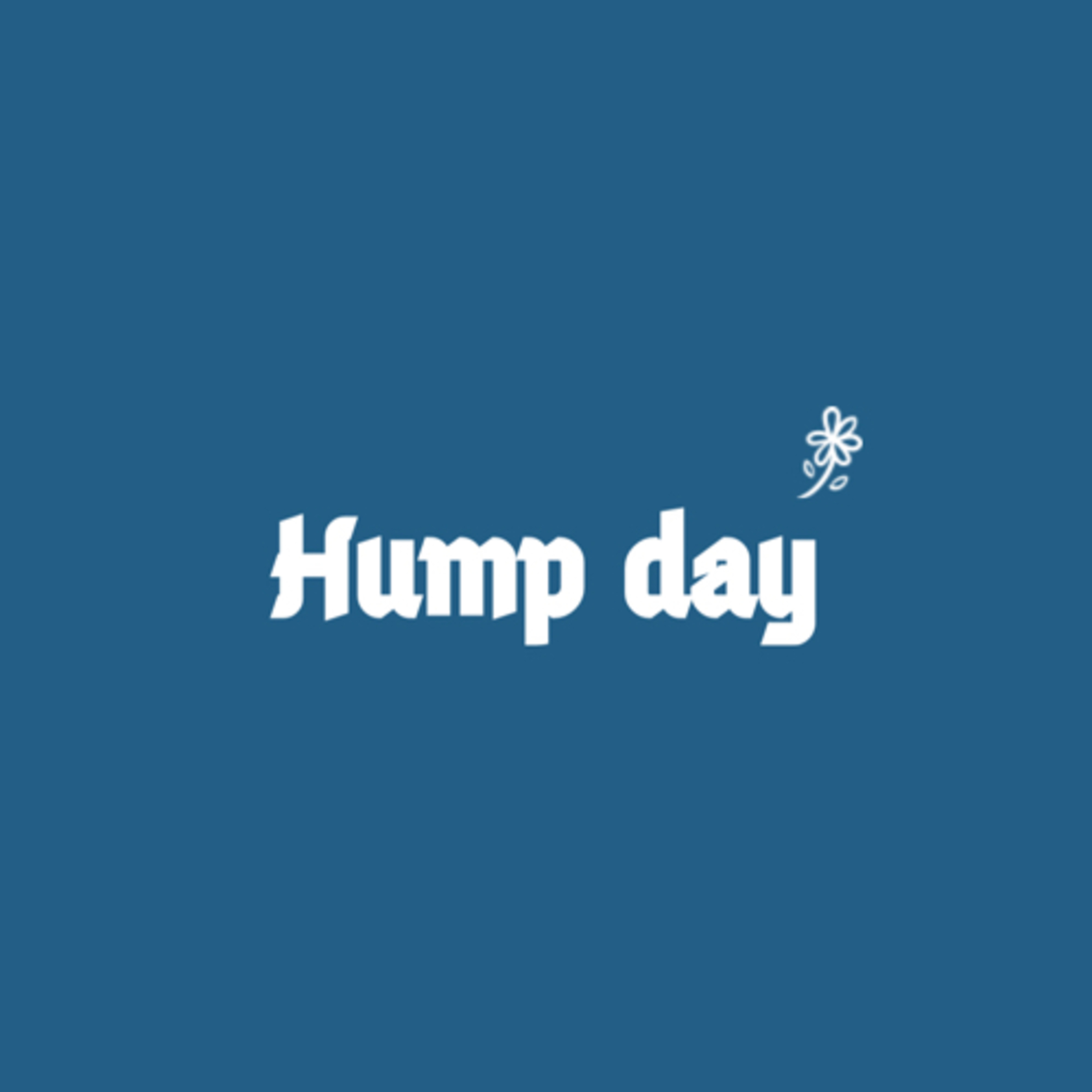You can make it. Hump day  episode artwork