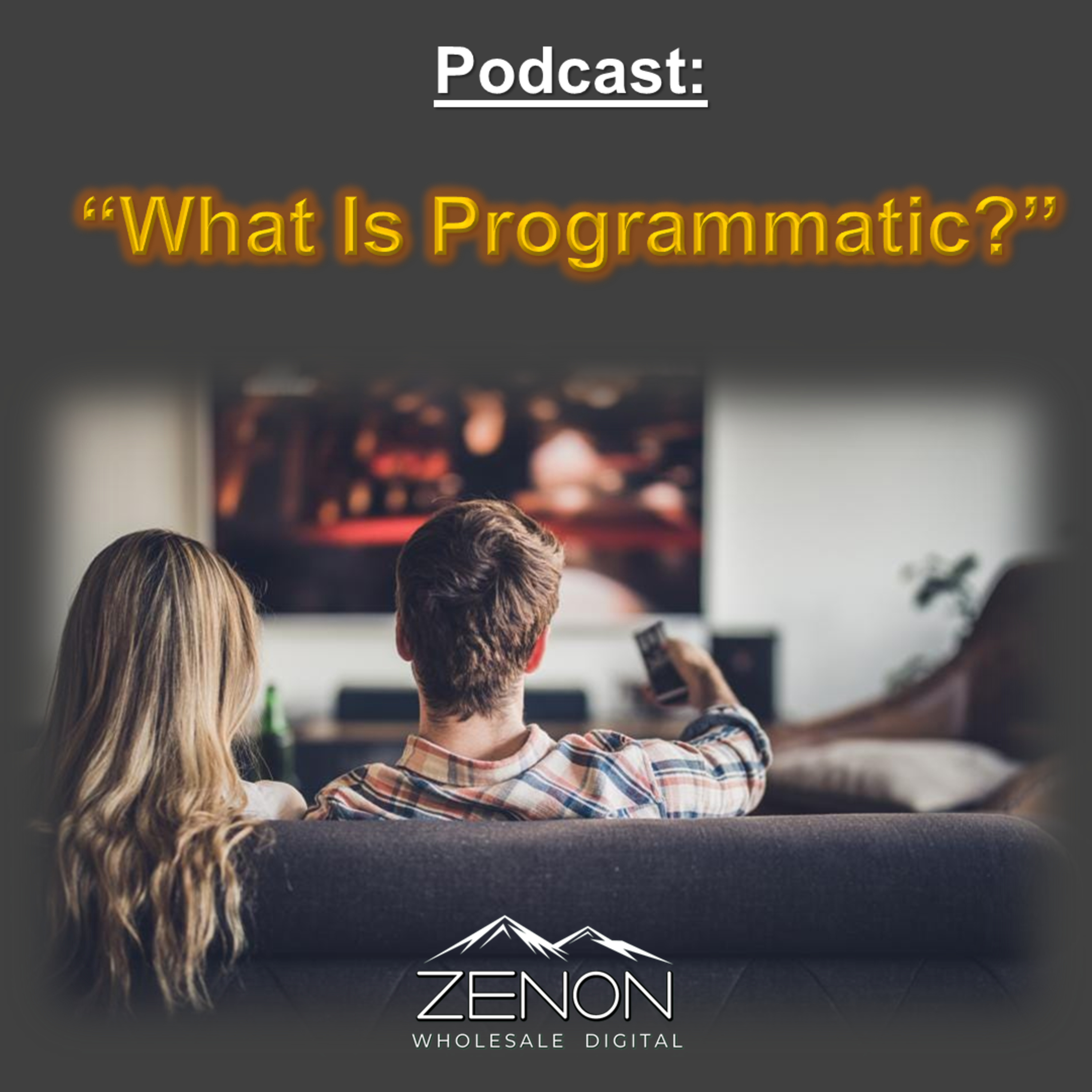 What is Programmatic Advertising? episode artwork