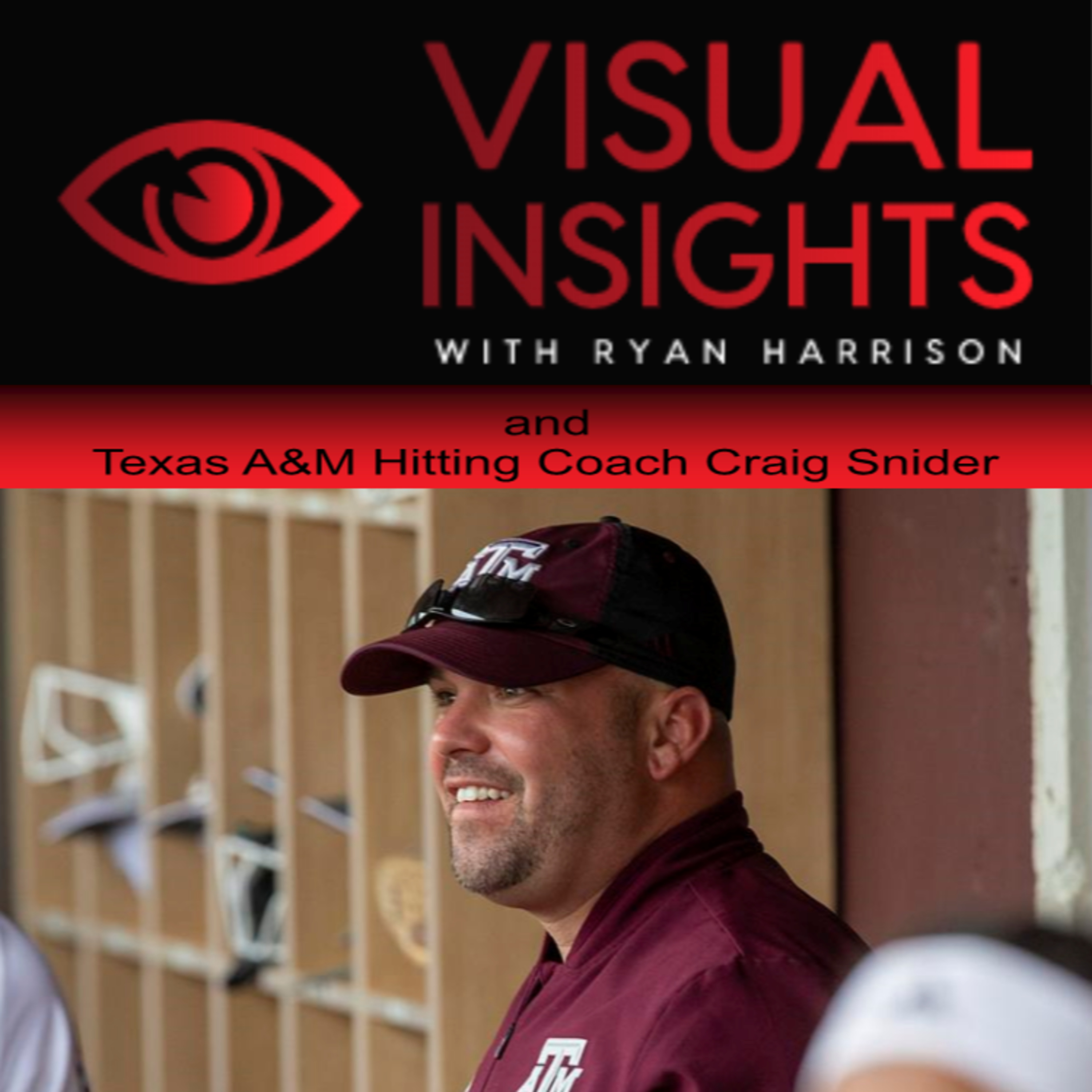 Visual Insights