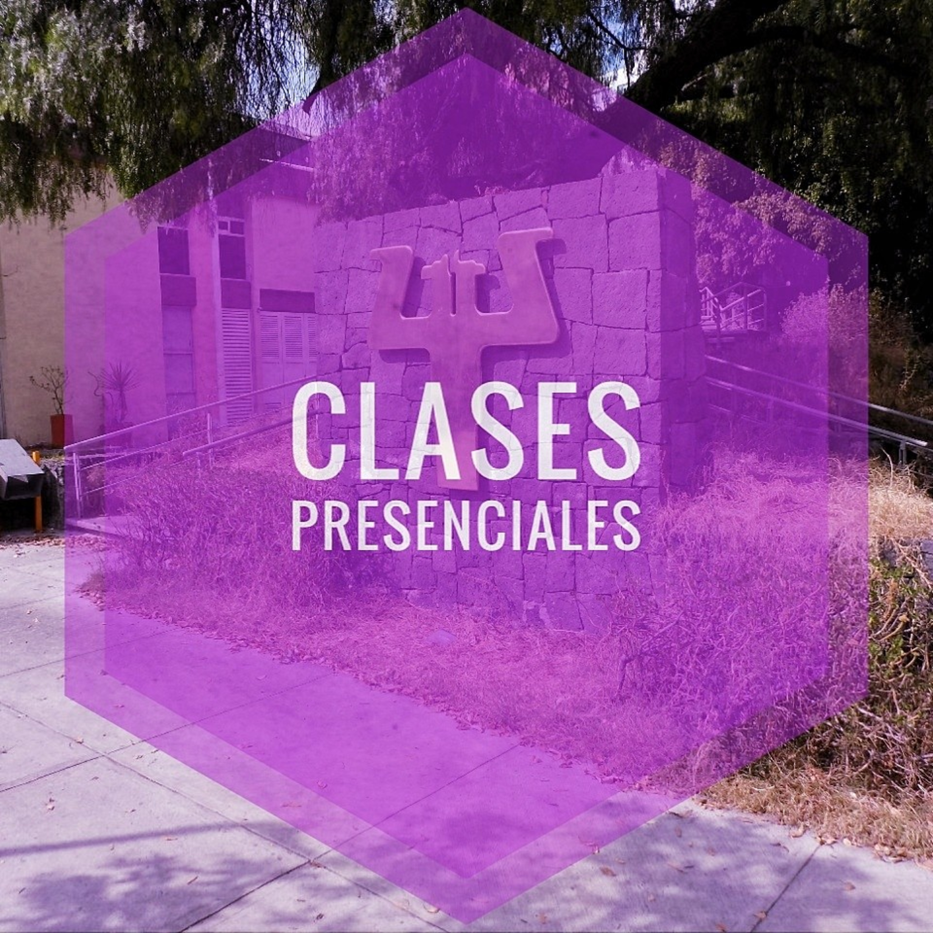 Clases presenciales/ Procedimiento y logística: Alejandra Rodríguez (Consejera técnica) episode artwork