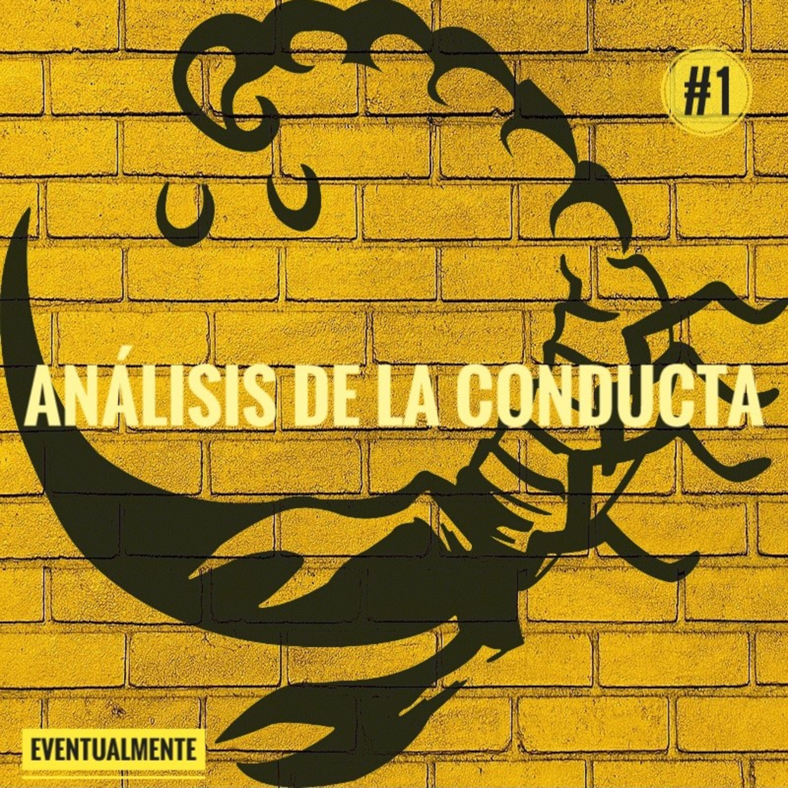 Proyecto Eventualmente #1: "Análisis de la conducta" Mitos y verdades con Lalo, Mariana y Alejandro. episode artwork