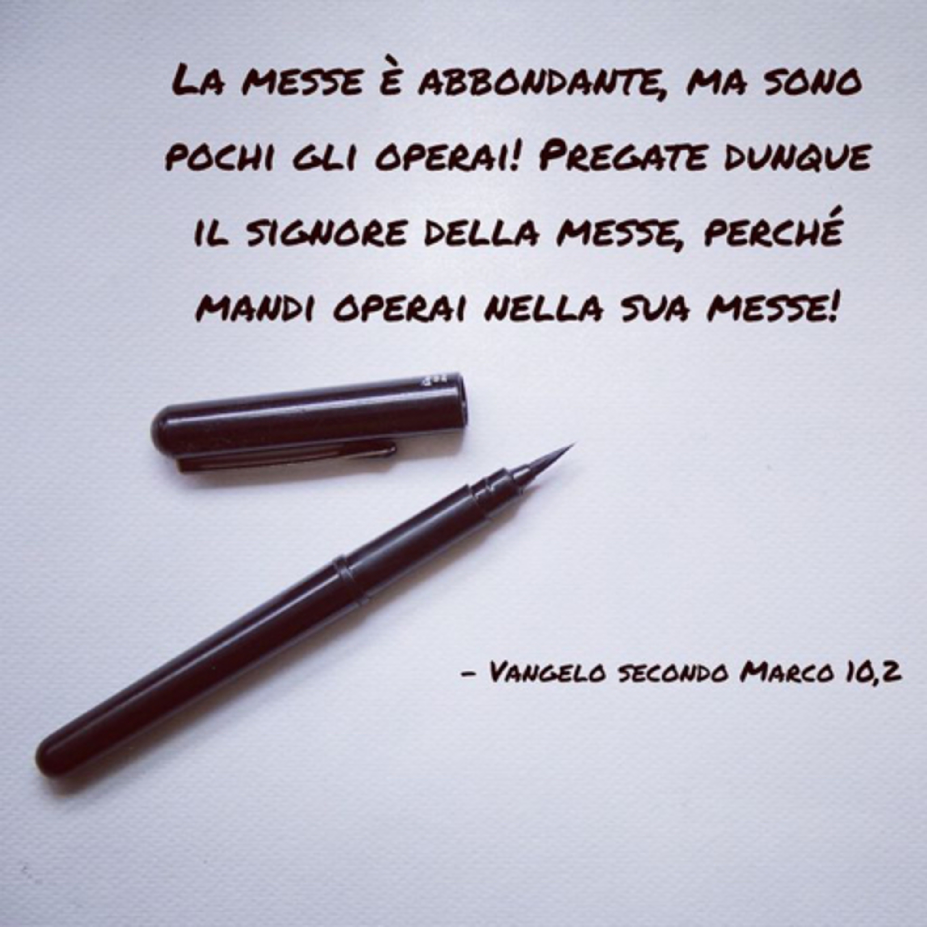 XI DOMENICA DEL TEMPO ORDINARIO 