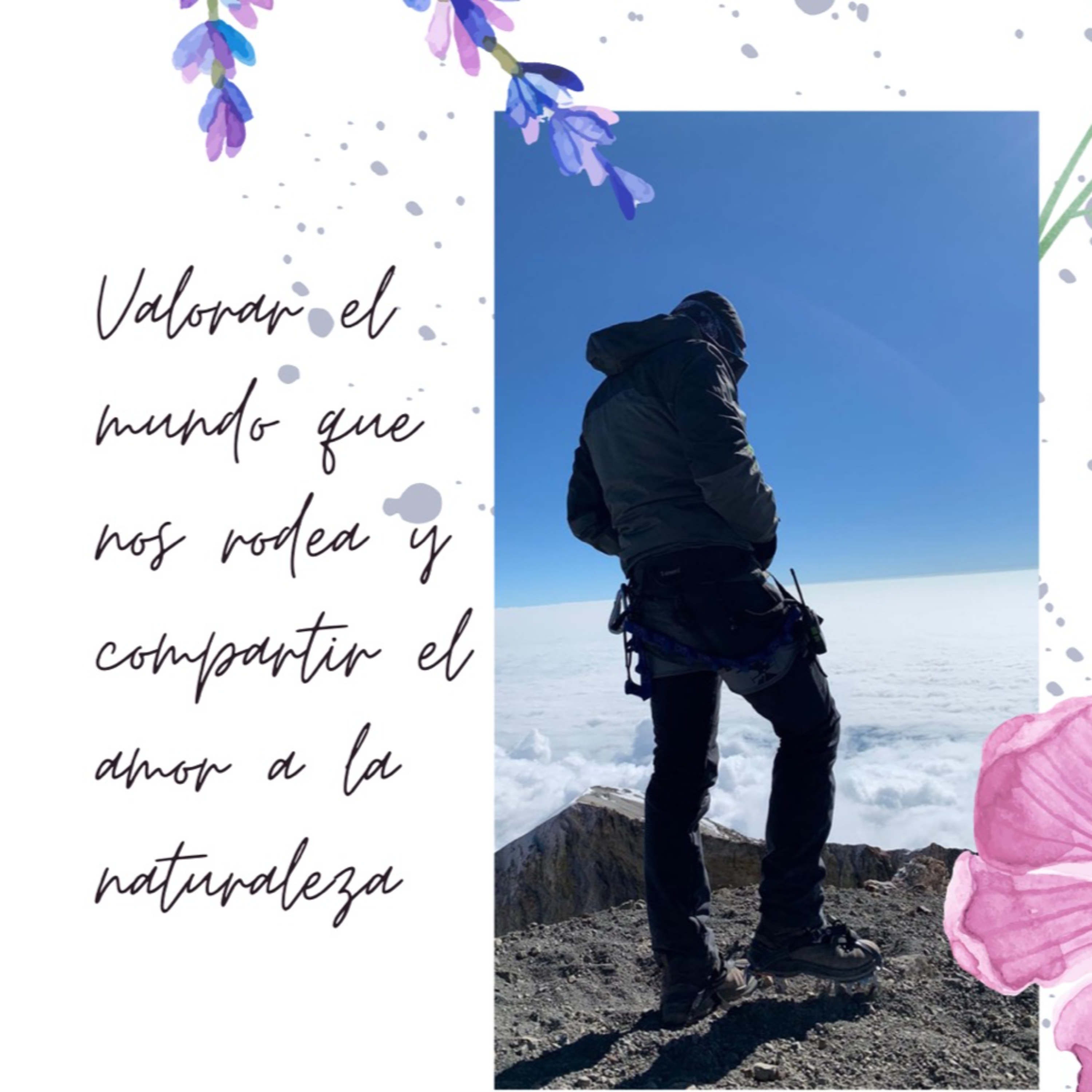 Inspira