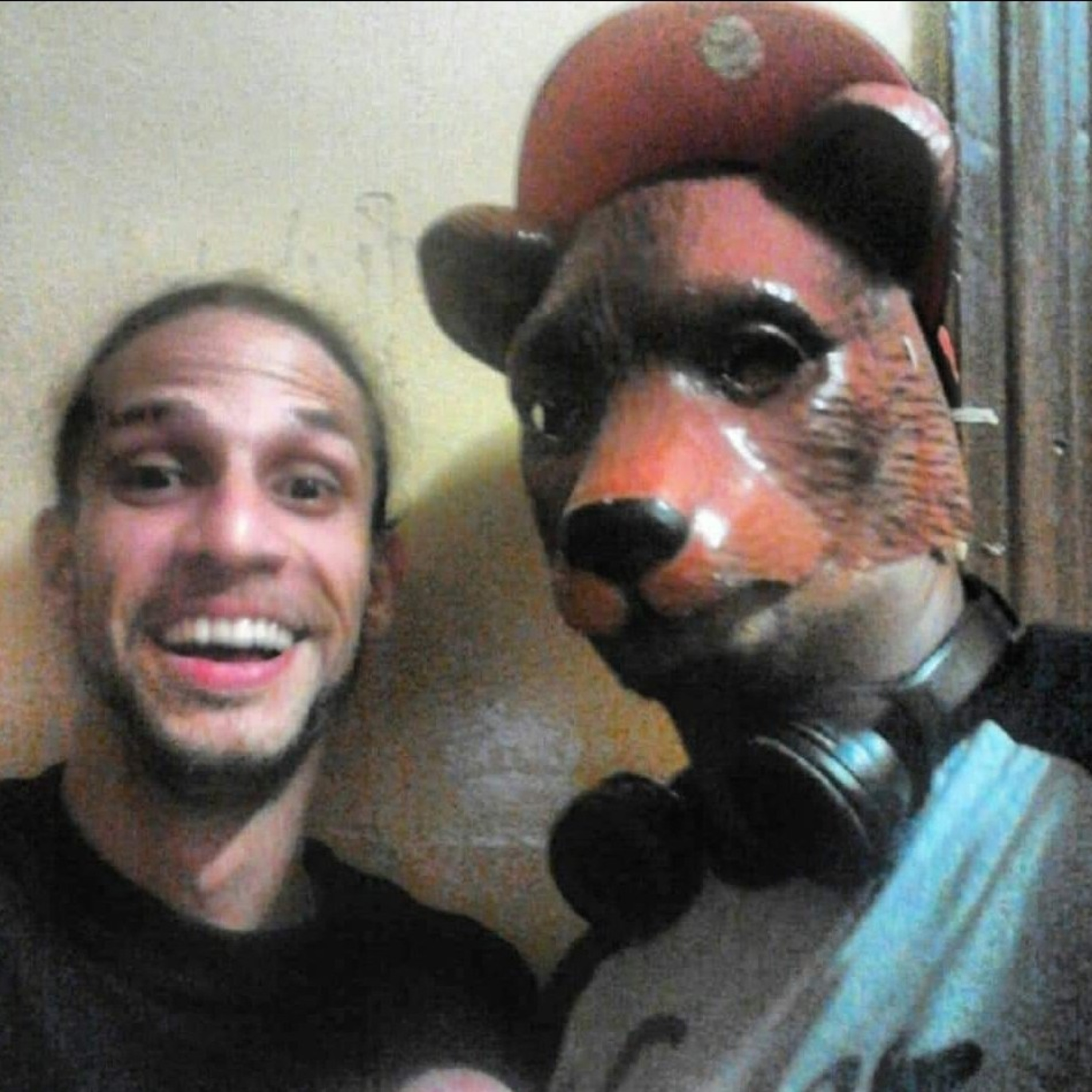 The sheep and the wolf