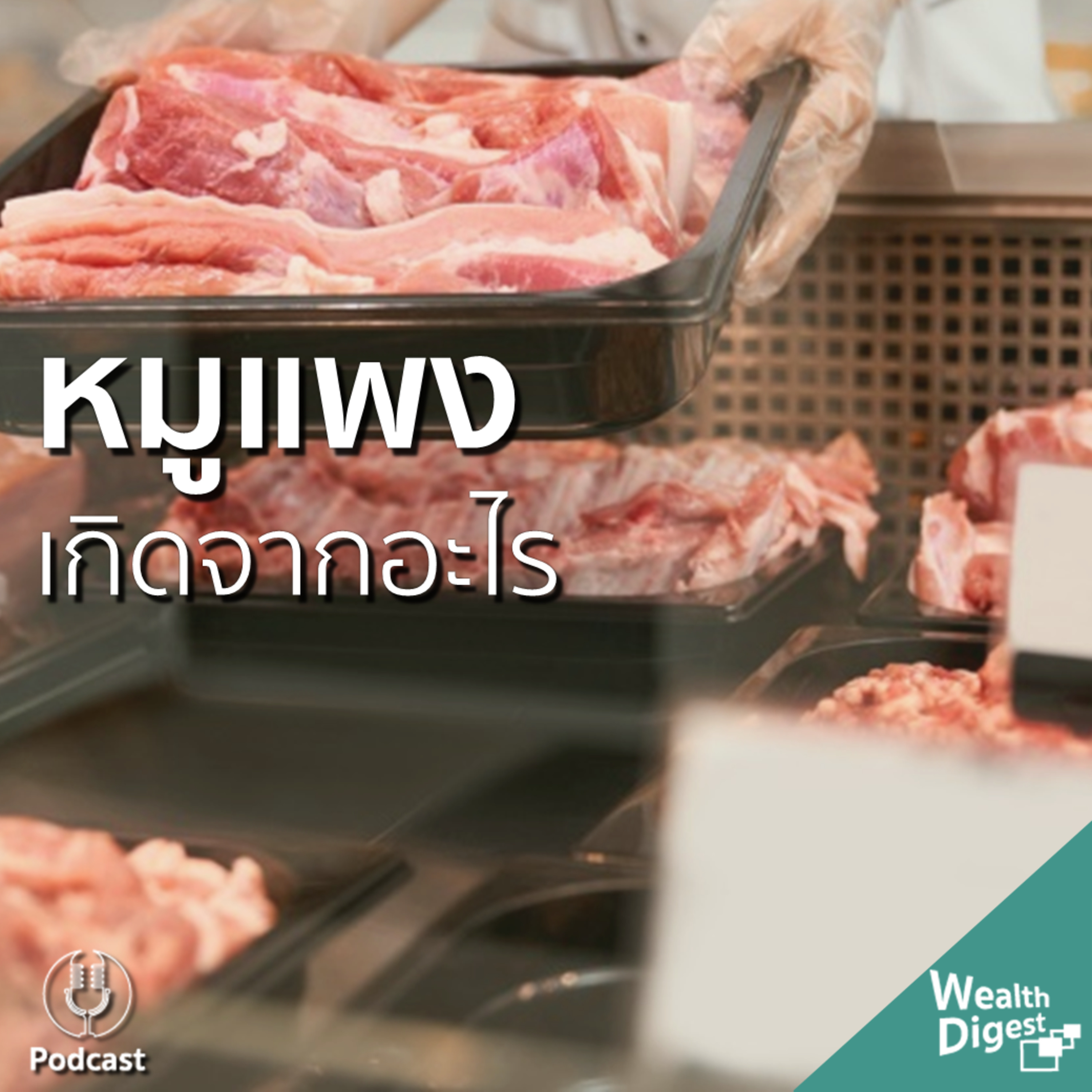 Wealth Digest เรื่องเงินย่อยง่าย EP.7 | ราคาหมูแพง กับผลกระทบลูกโซ่