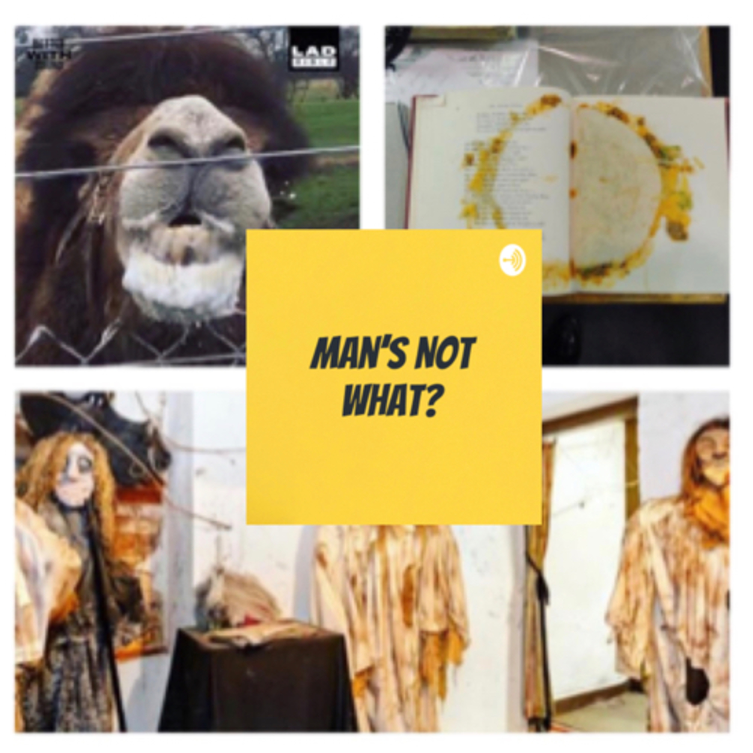 Episode 32: Aussie House, Peter Griffin Camel & Mystery Taco!!!
