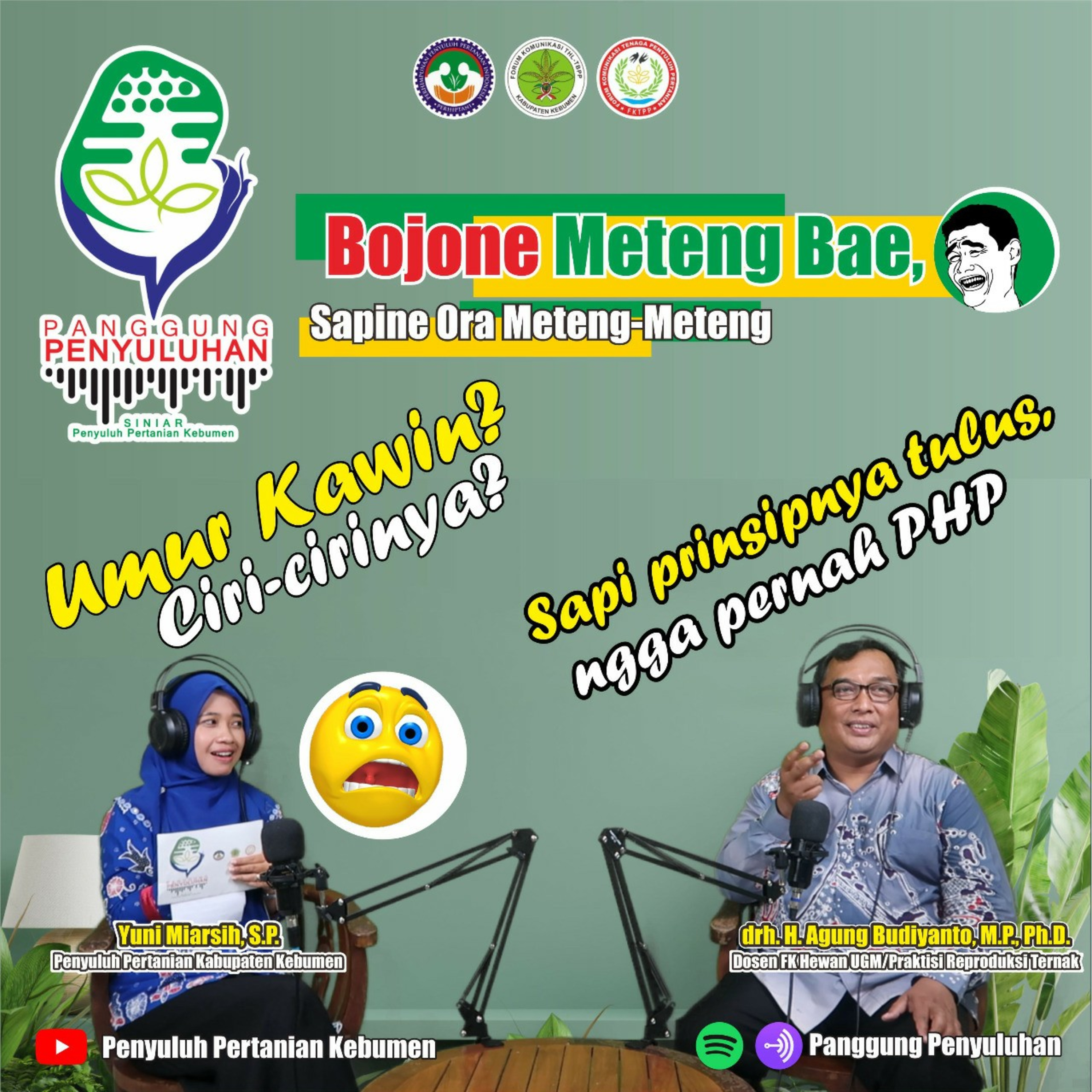 Panggung Penyuluhan