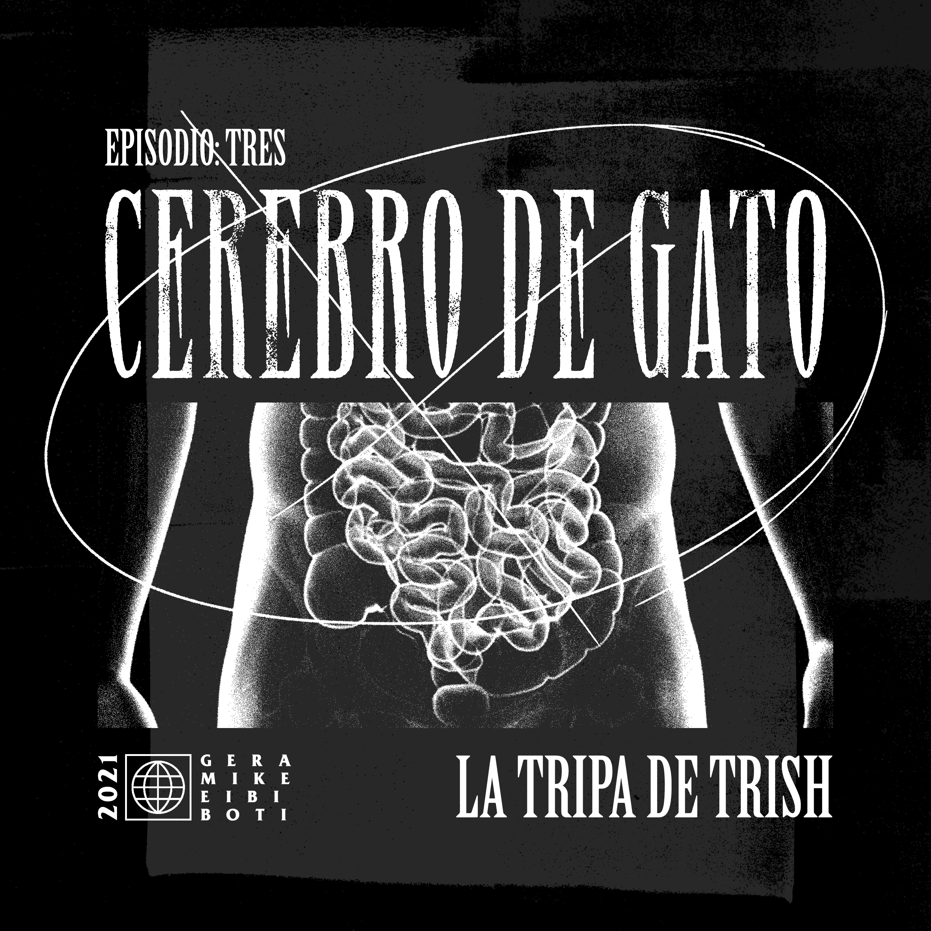 Cerebro De Gato