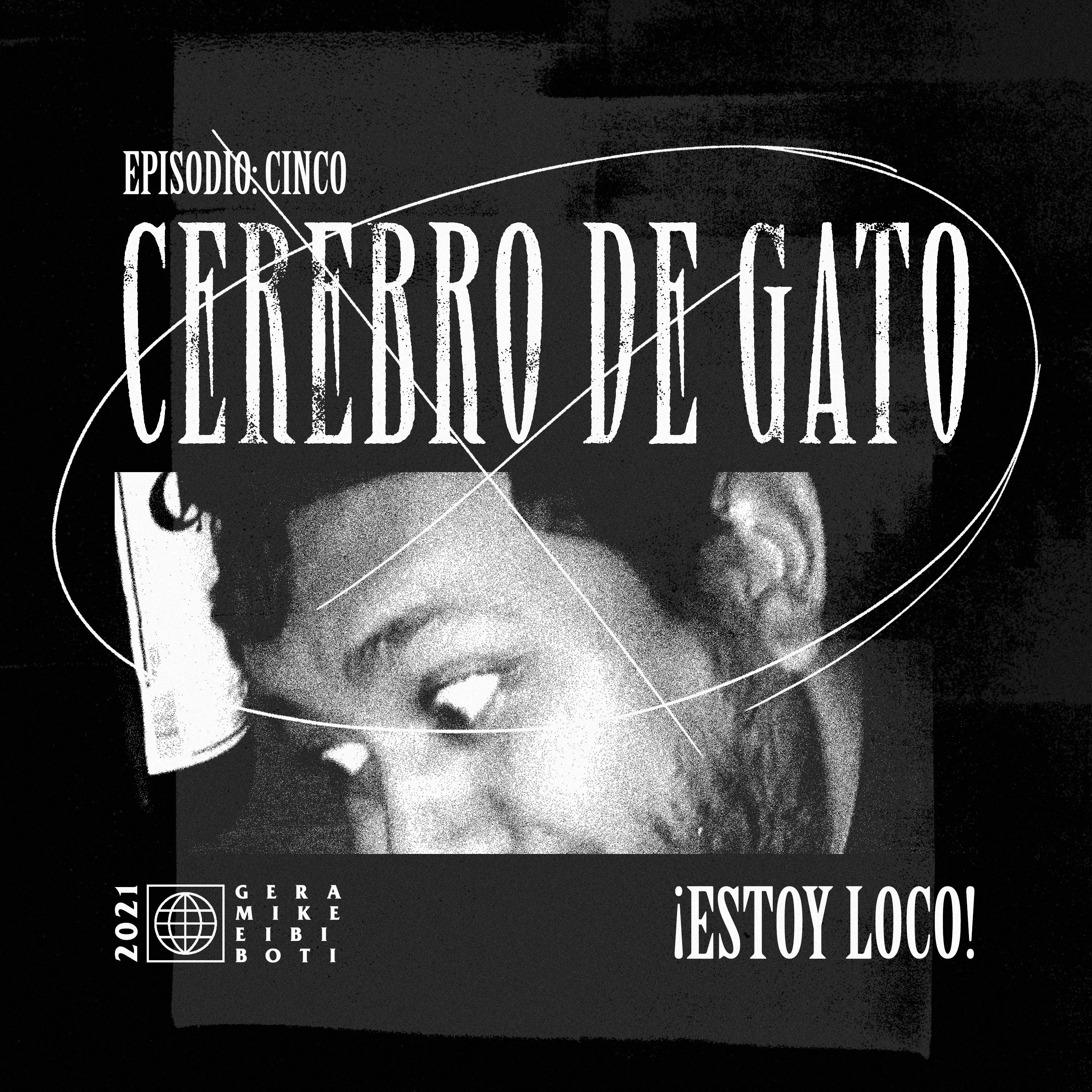 Cerebro De Gato
