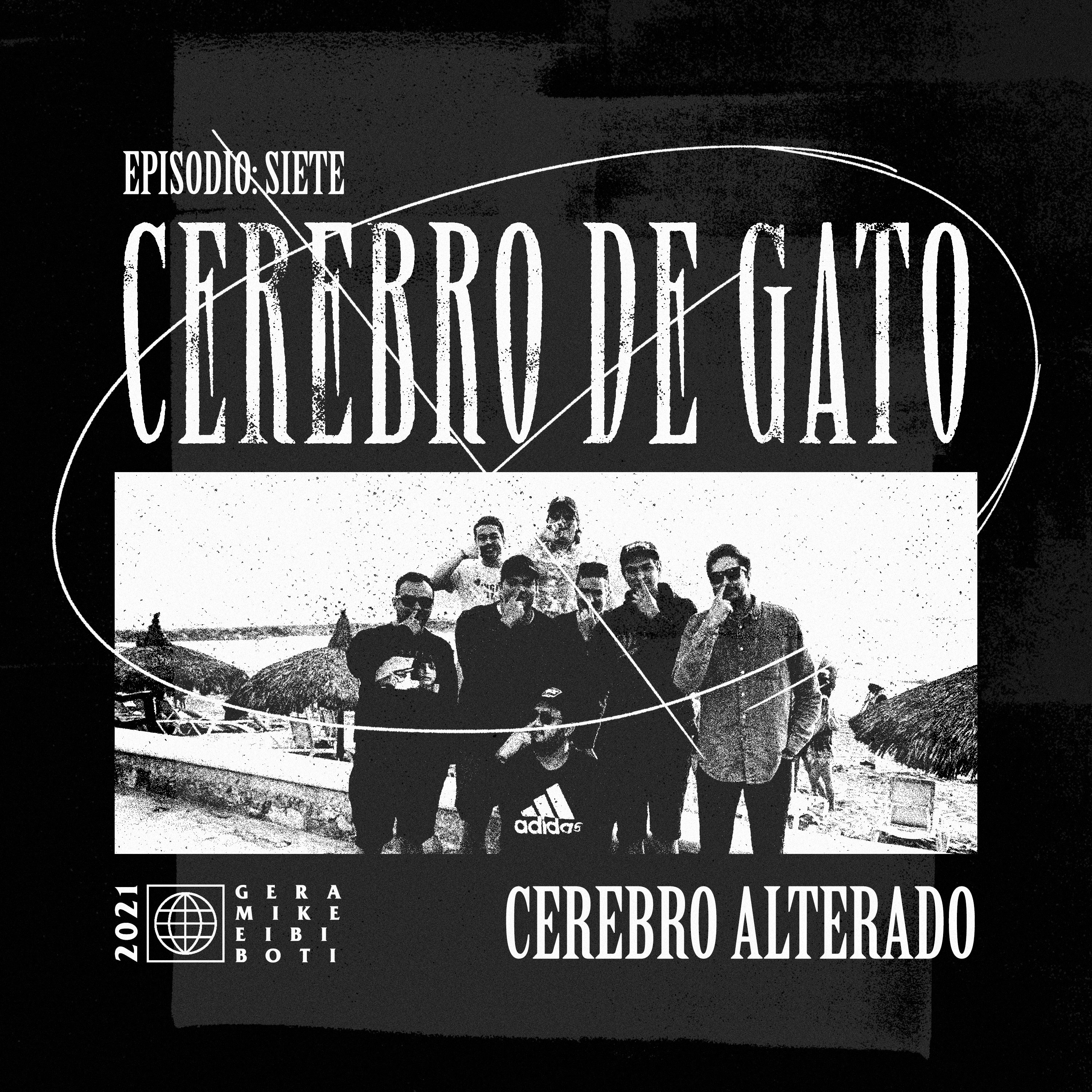 Cerebro De Gato