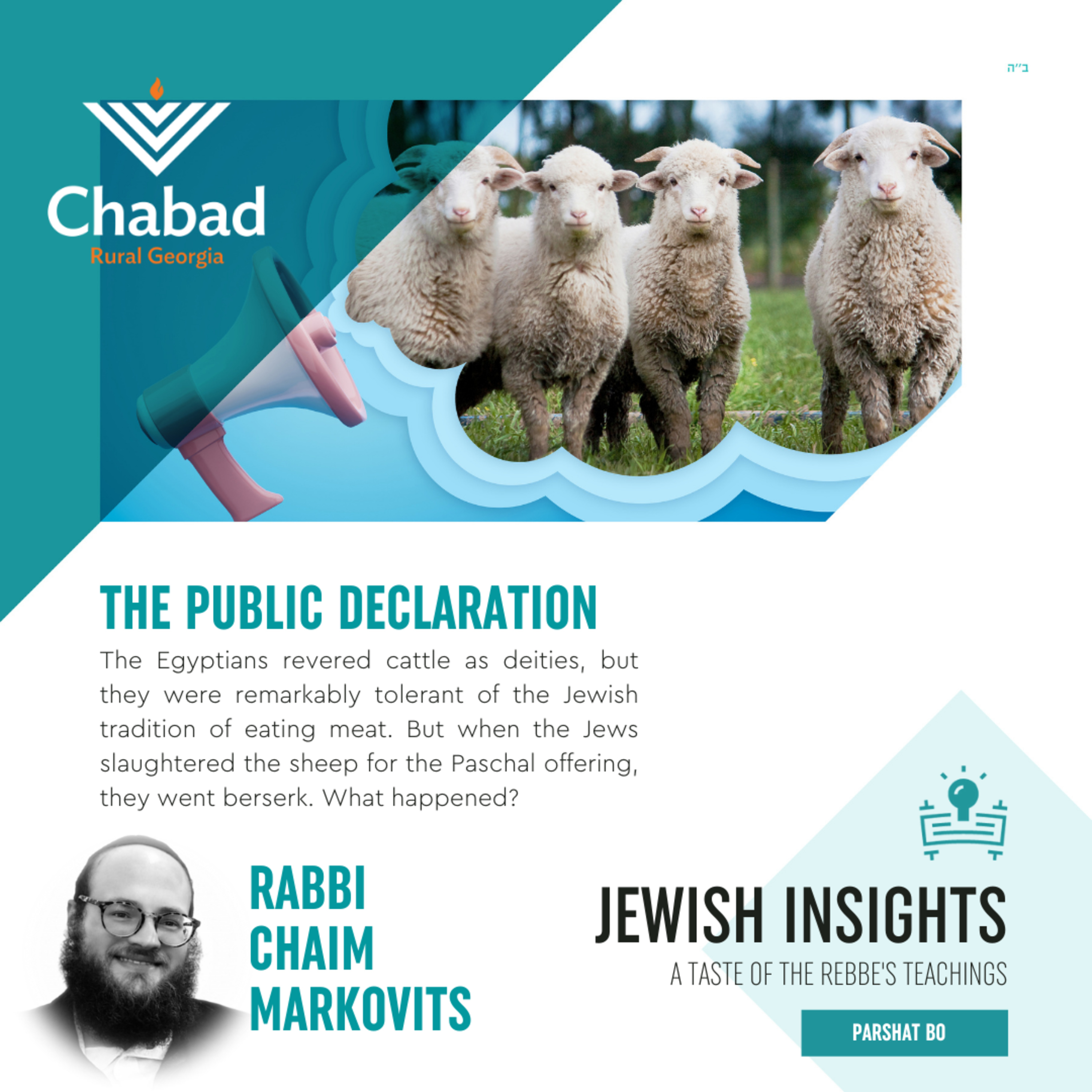 Jewish Insights - A weekly Taste of the Rebbe\'s Teachings