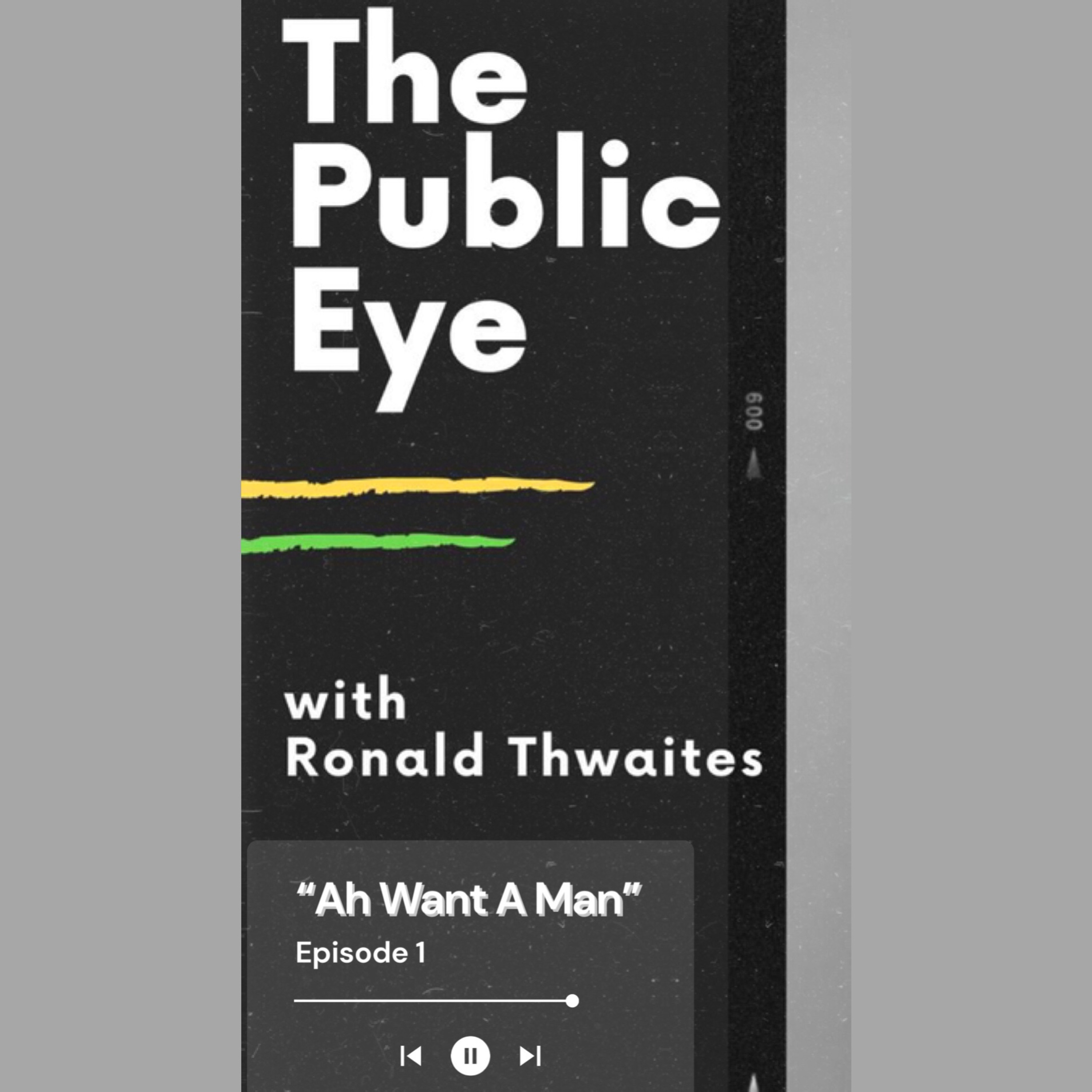 The Public Eye With Ronald Thwaites