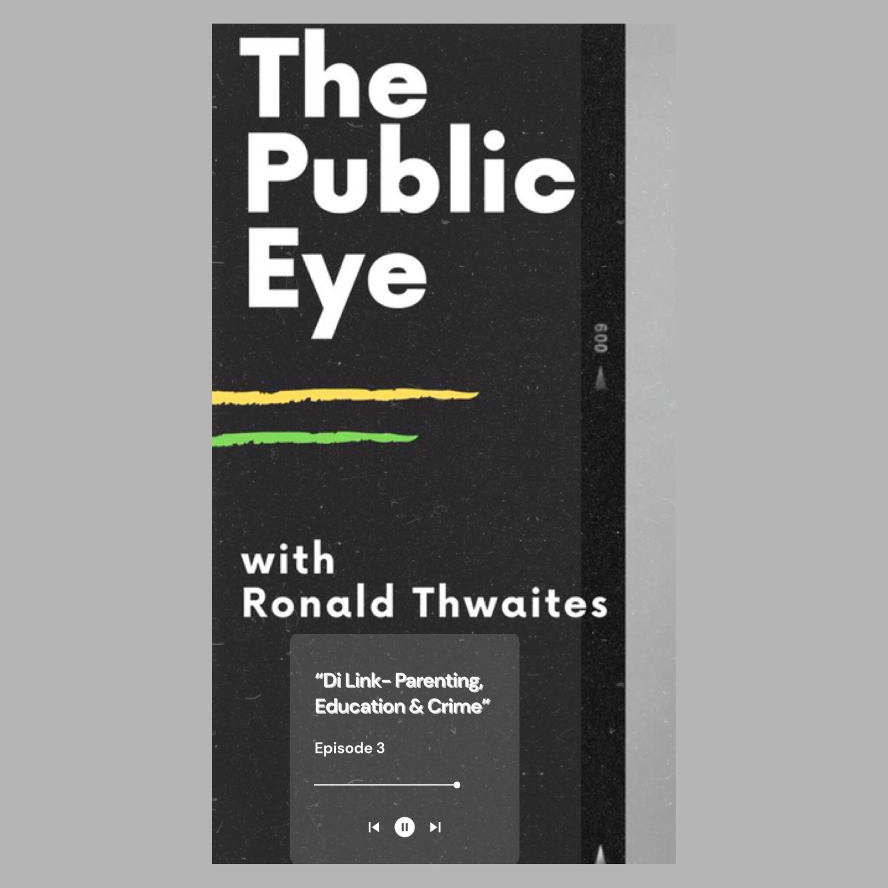 The Public Eye With Ronald Thwaites
