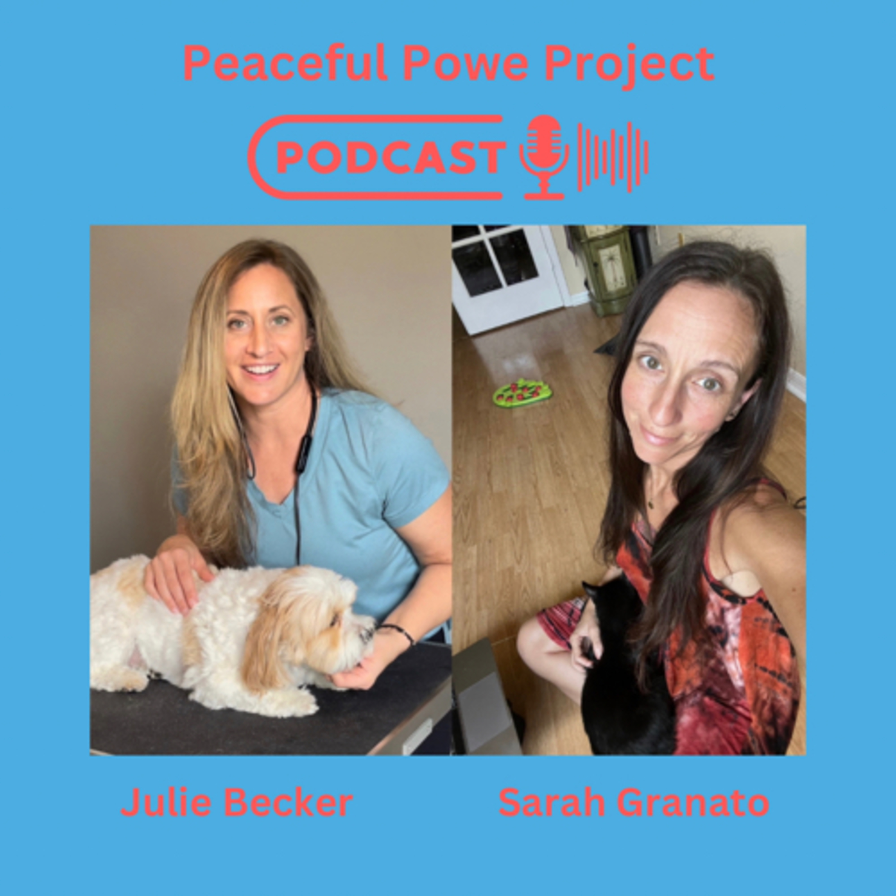 Peaceful Power Project