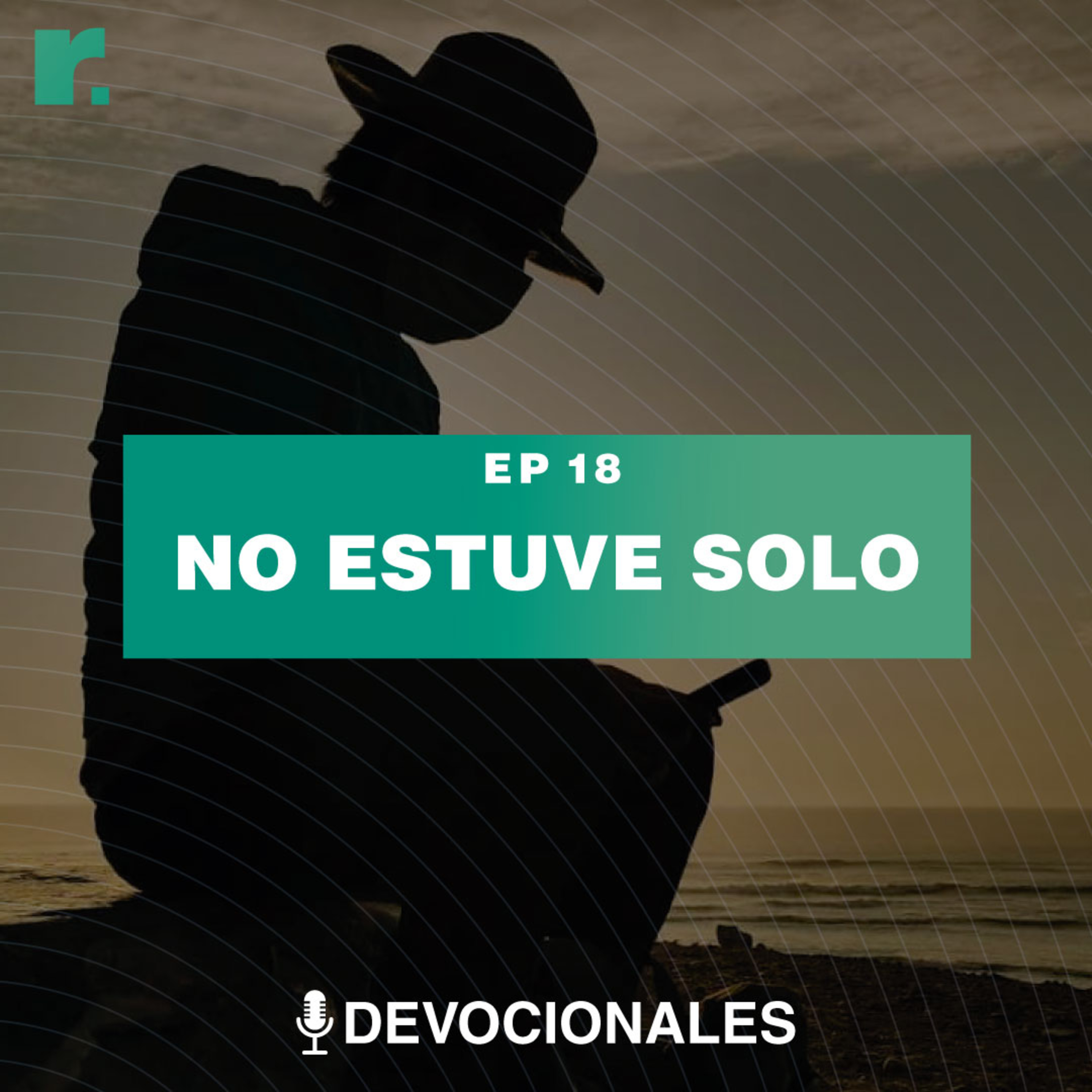 No estuve solo episode artwork