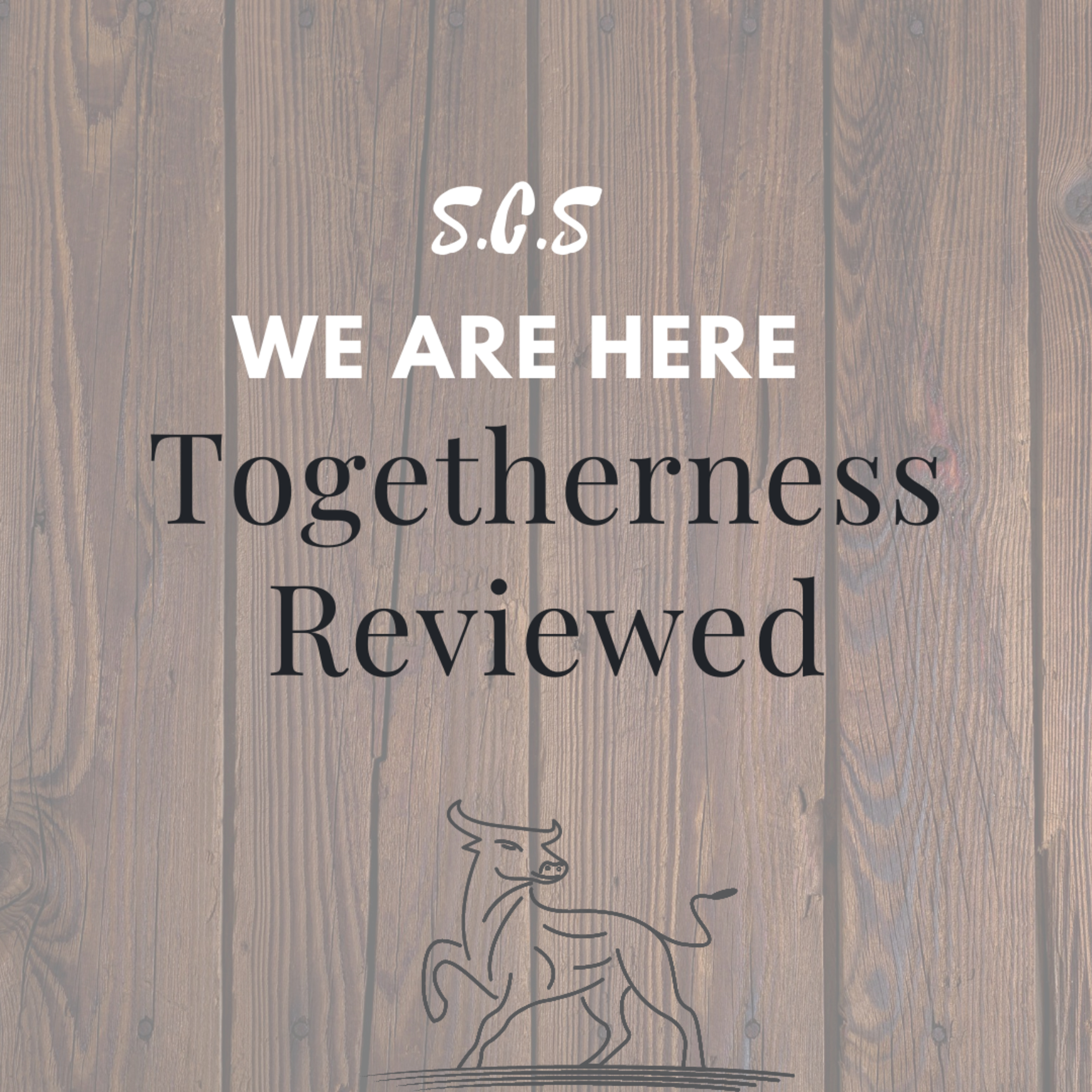 Togetherness Reviewed