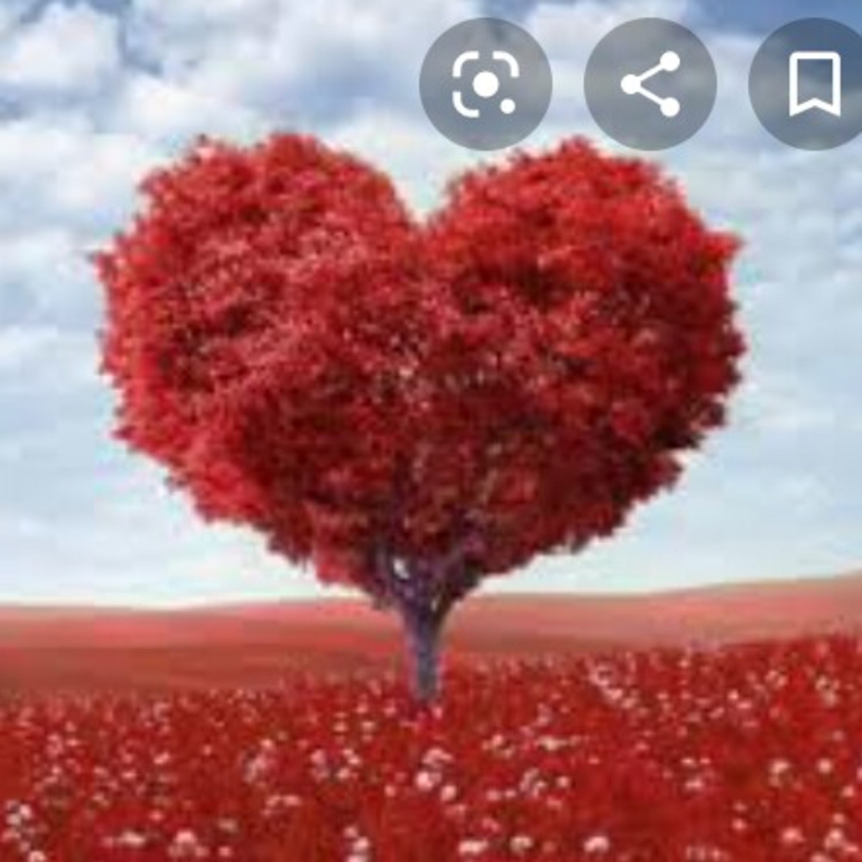 Día de sanvalentin  episode artwork
