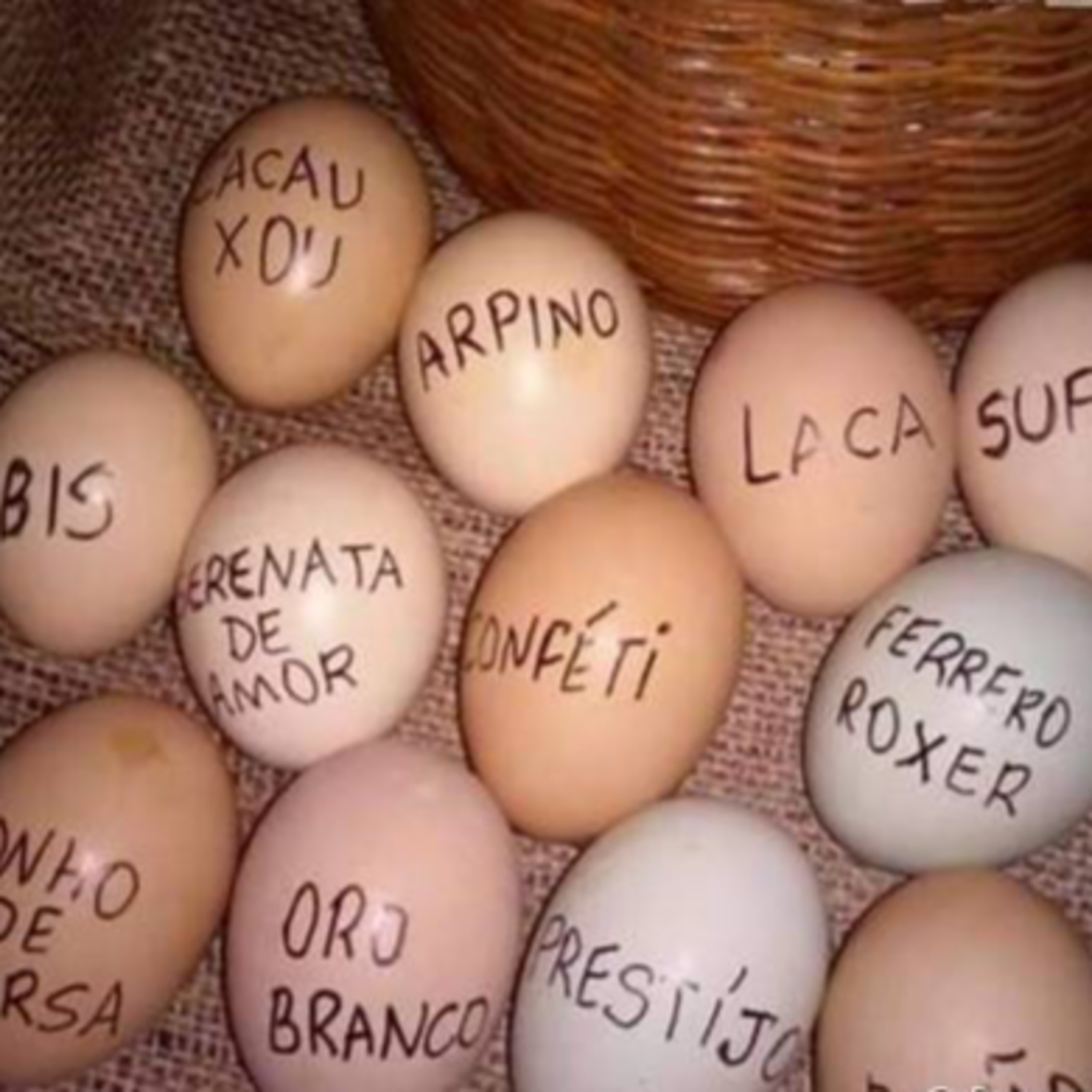 12 Elementos