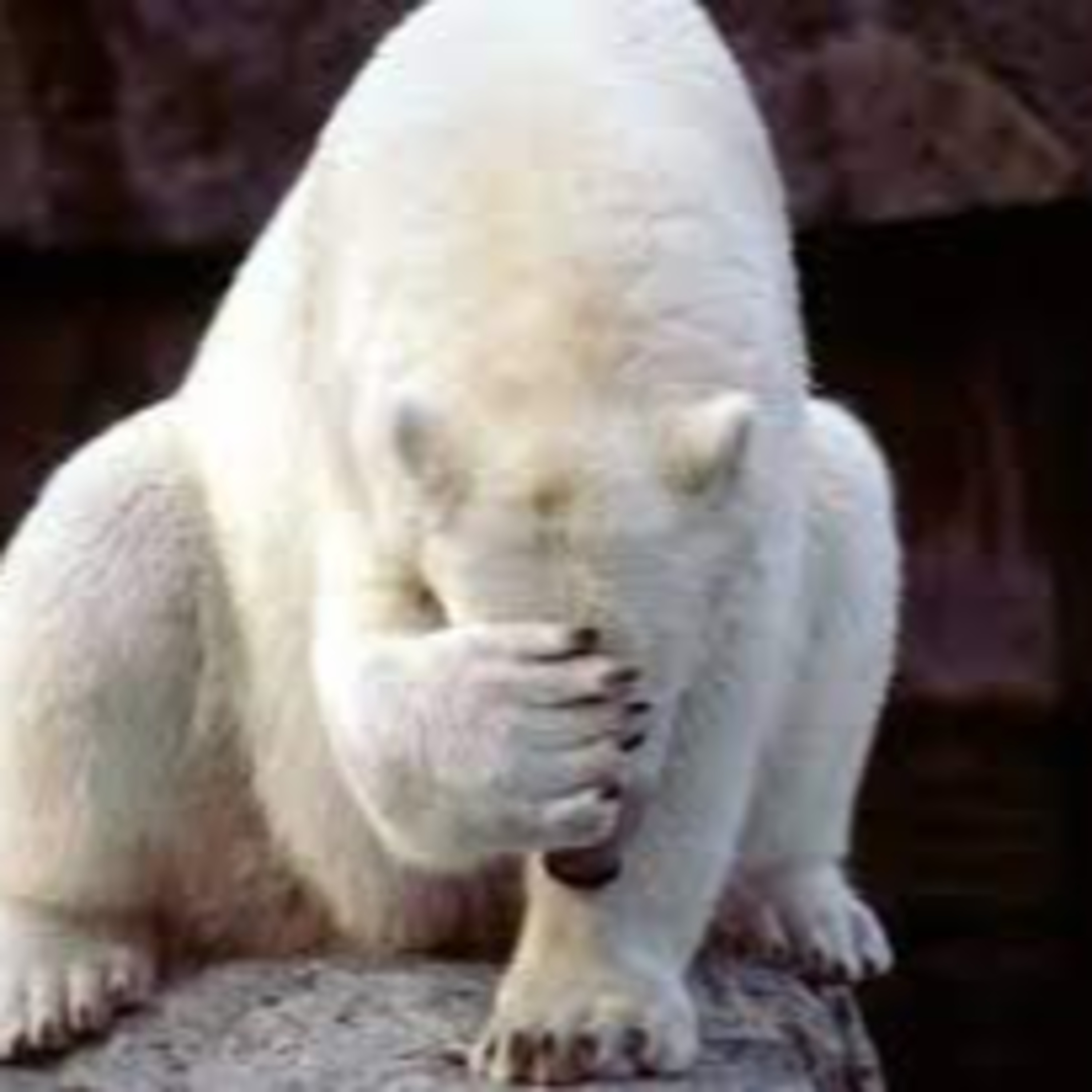 Sonando Serio