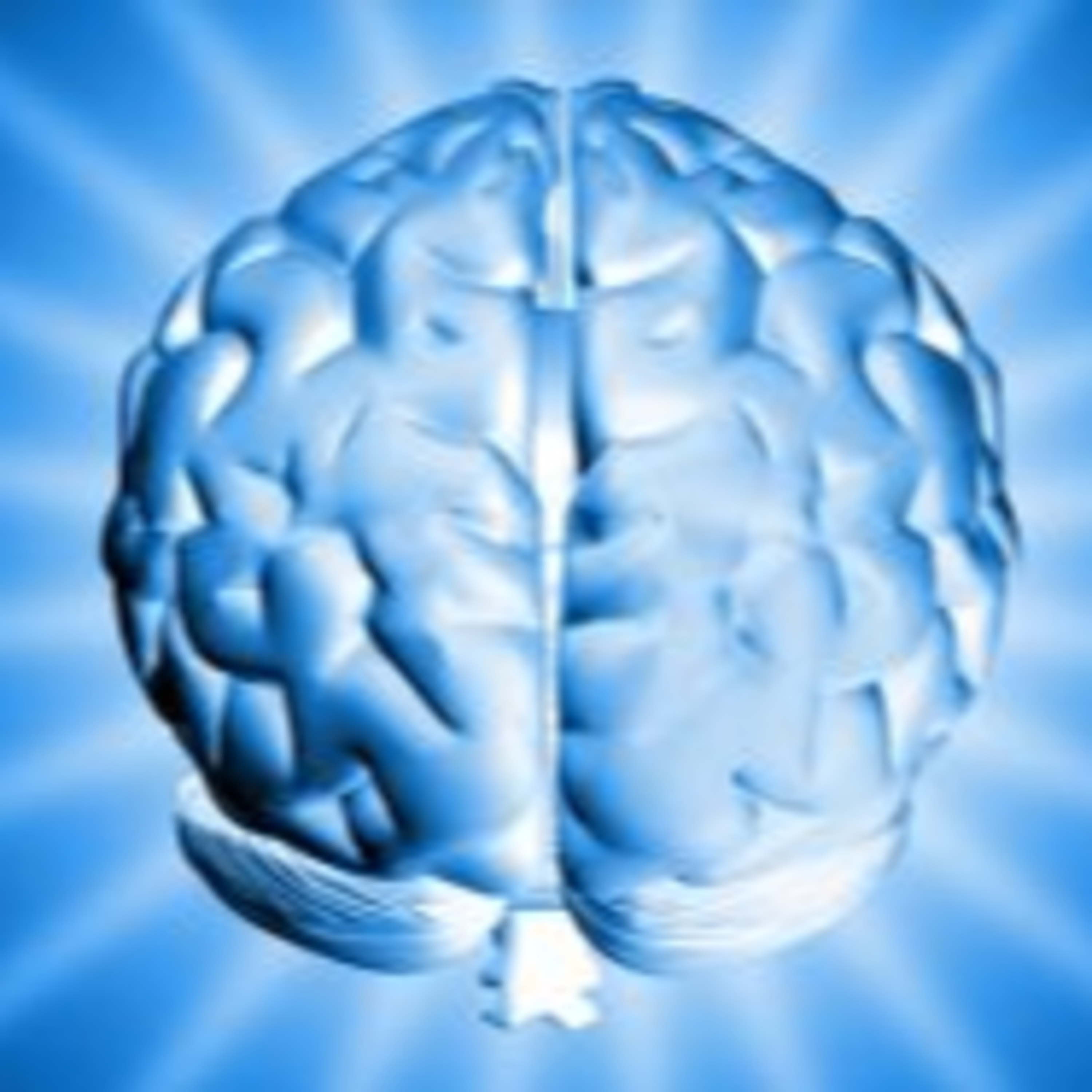 On The Brain ent