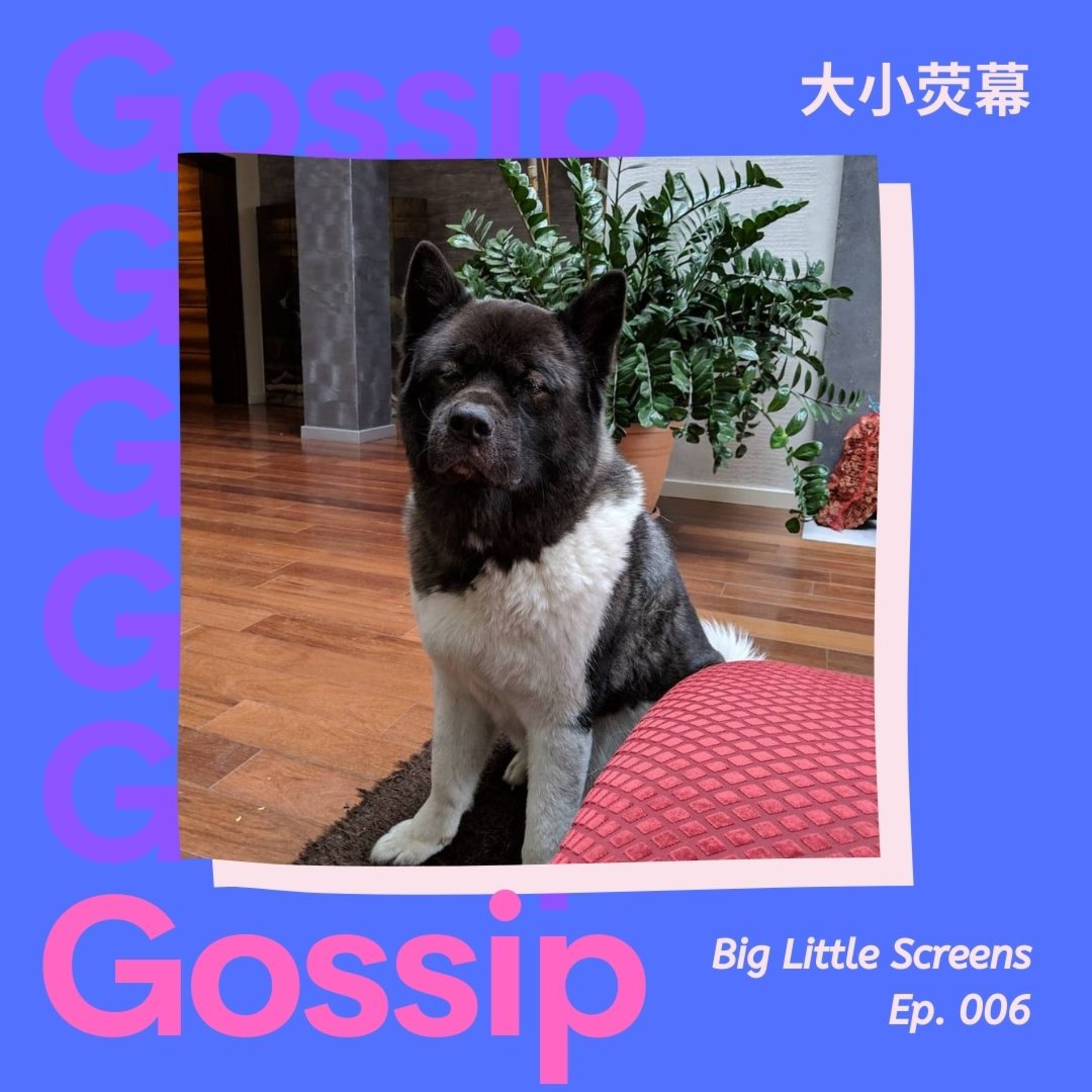 大小荧幕 Big Little Screens