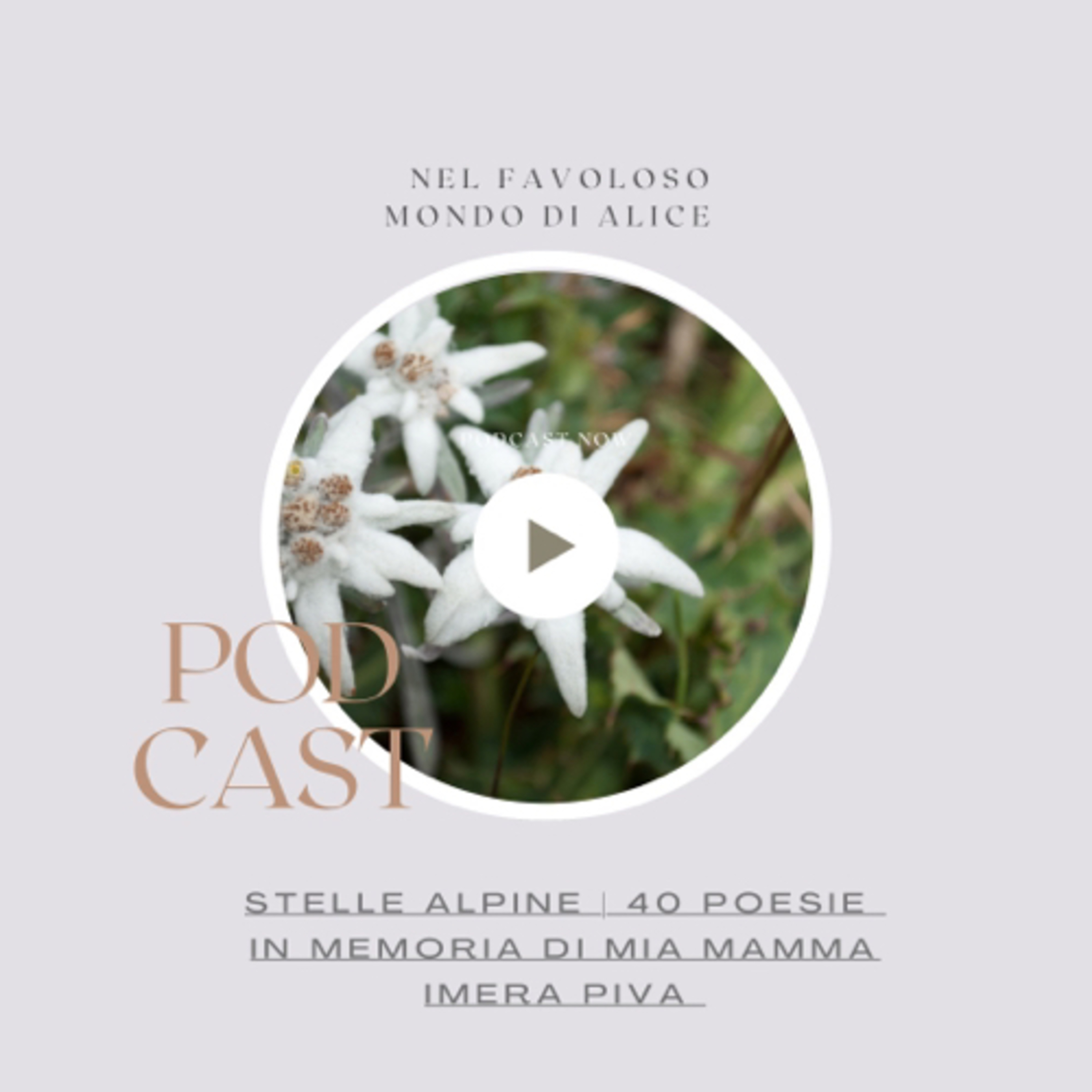 Nel favoloso mondo di Alice