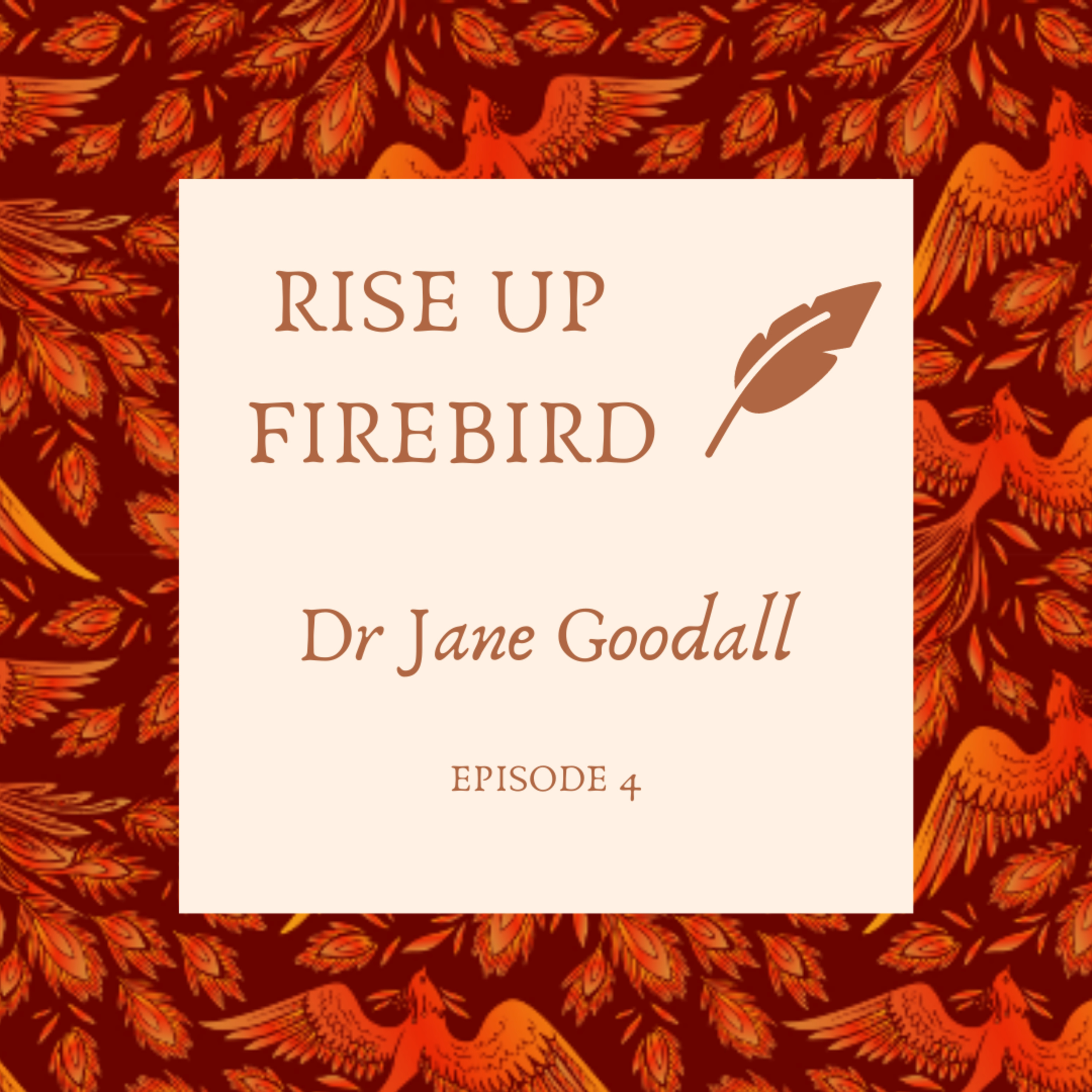 RISE UP FIREBIRD, stories of women who transformed their lives.