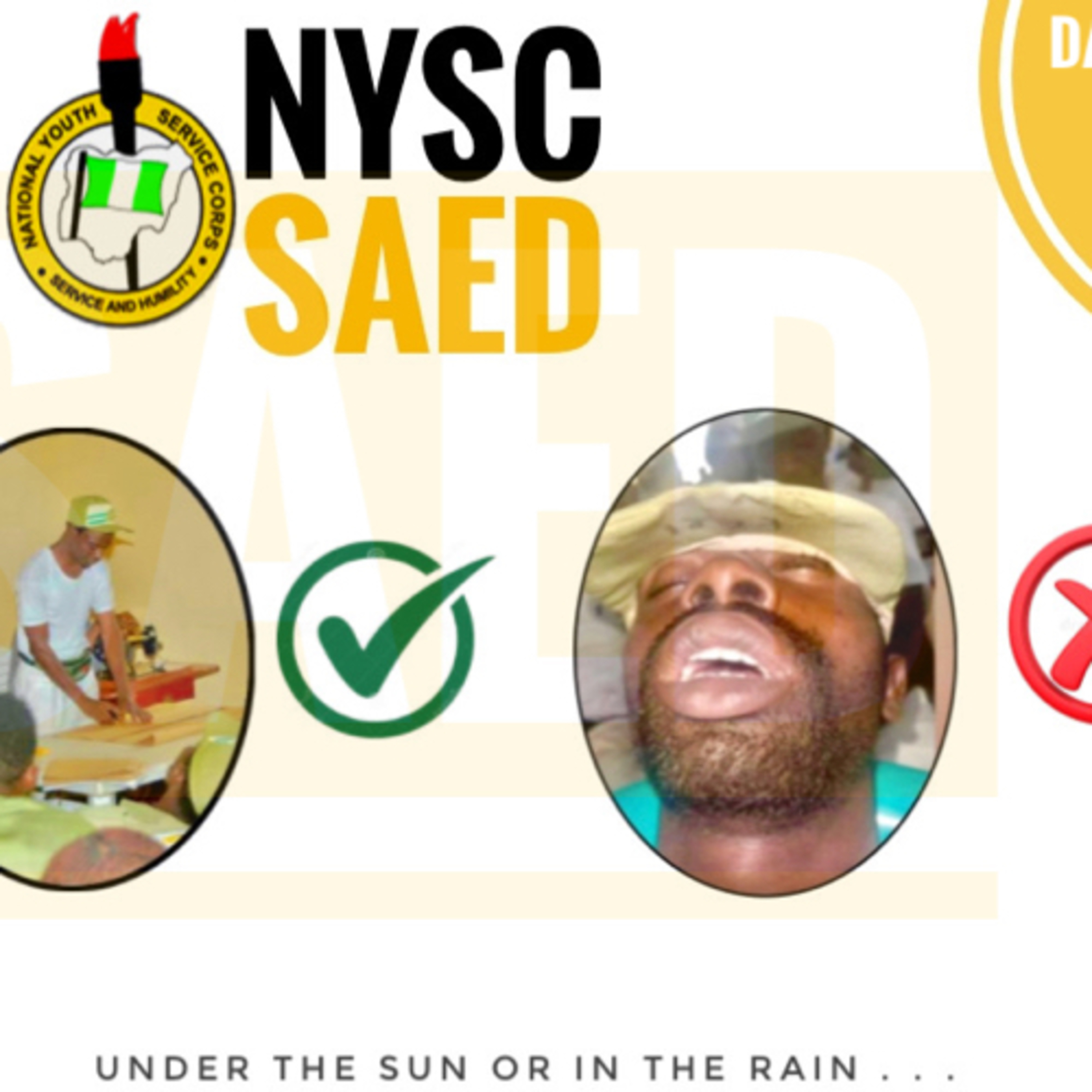 NYSC SAED episode artwork