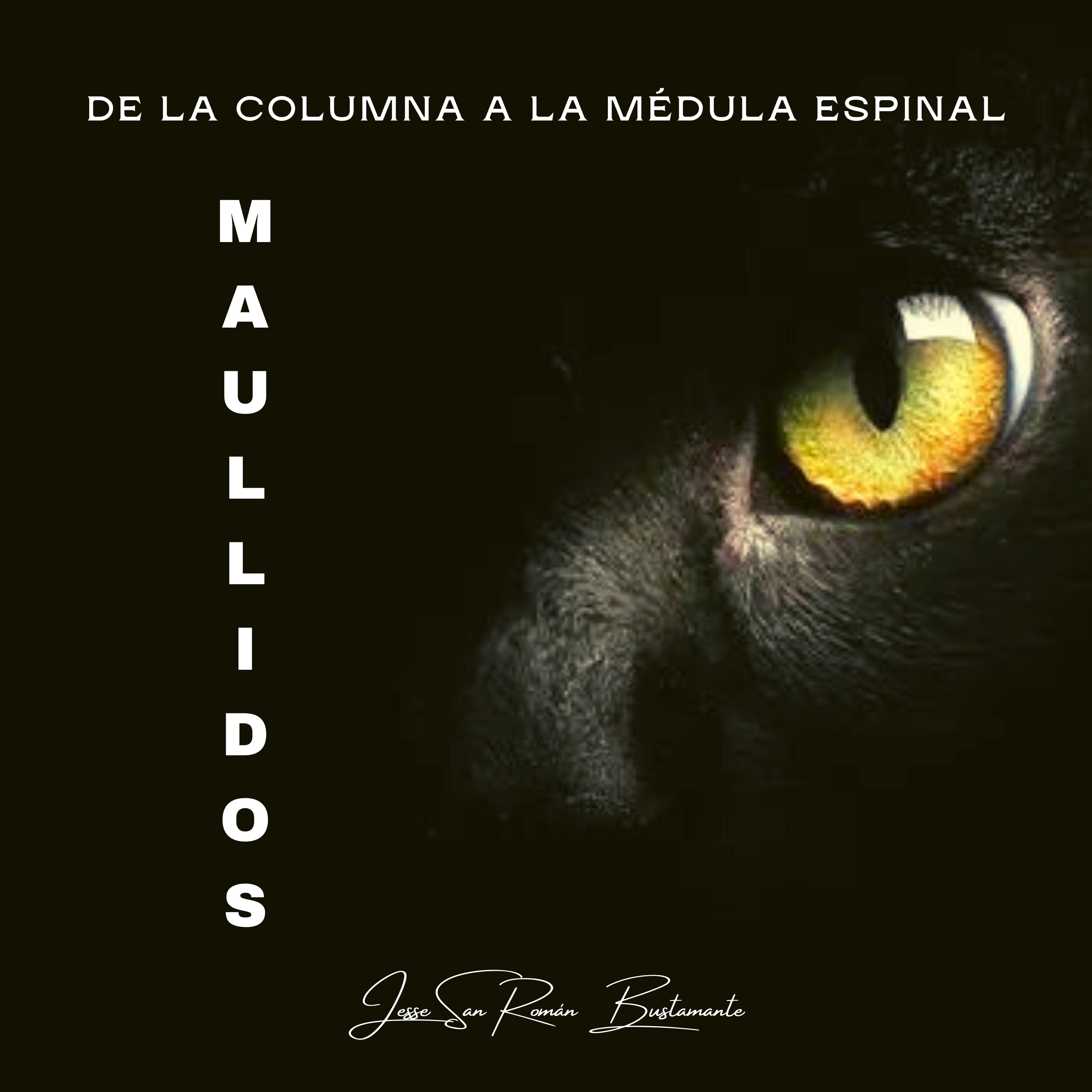 De la columna a la médula espinal