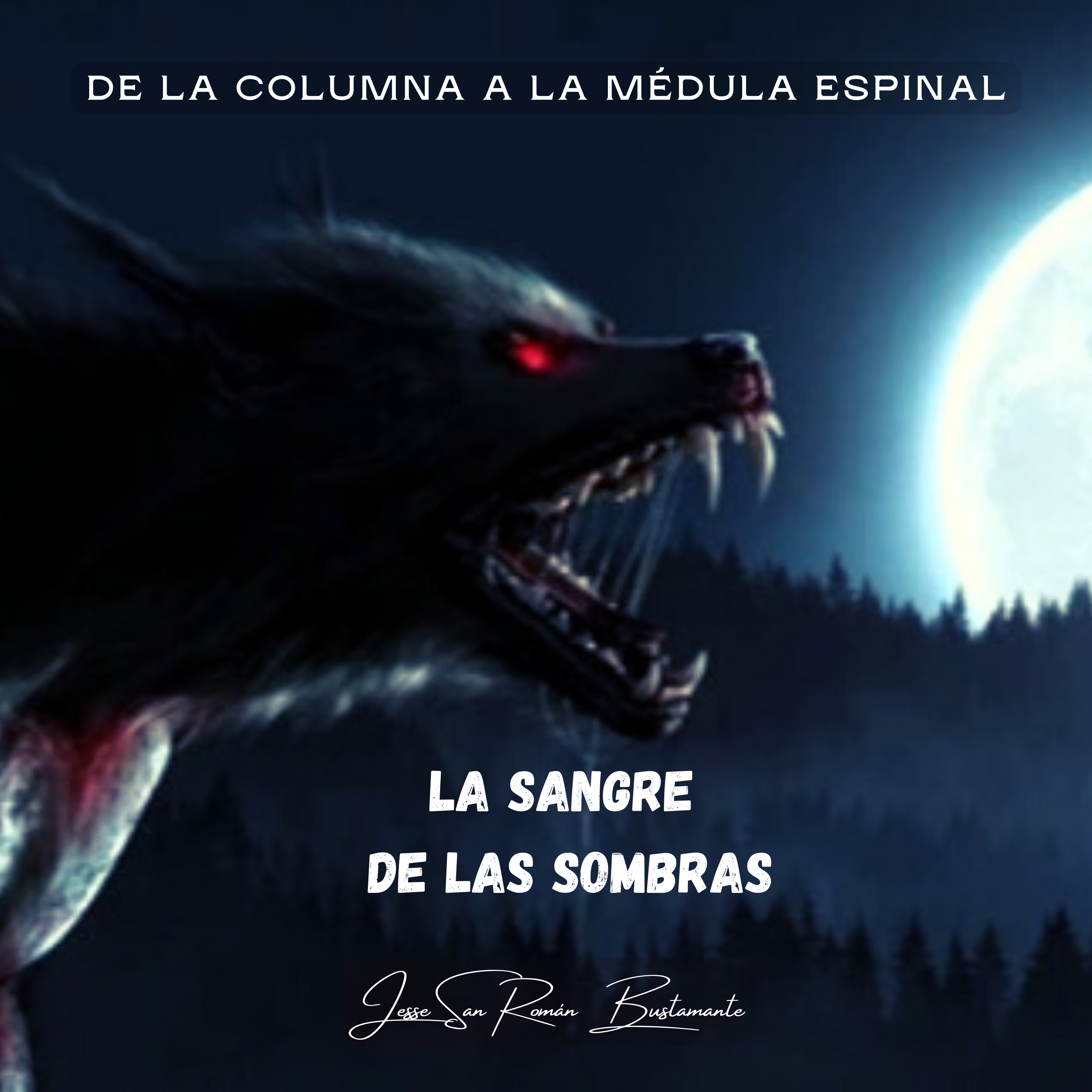 De la columna a la médula espinal