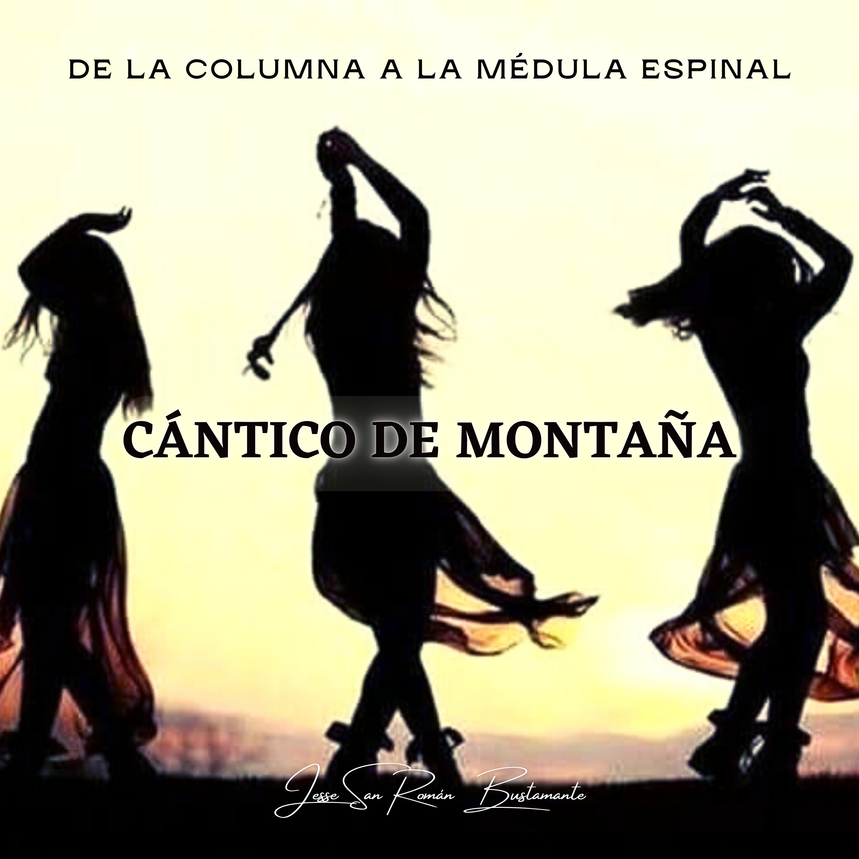 De la columna a la médula espinal